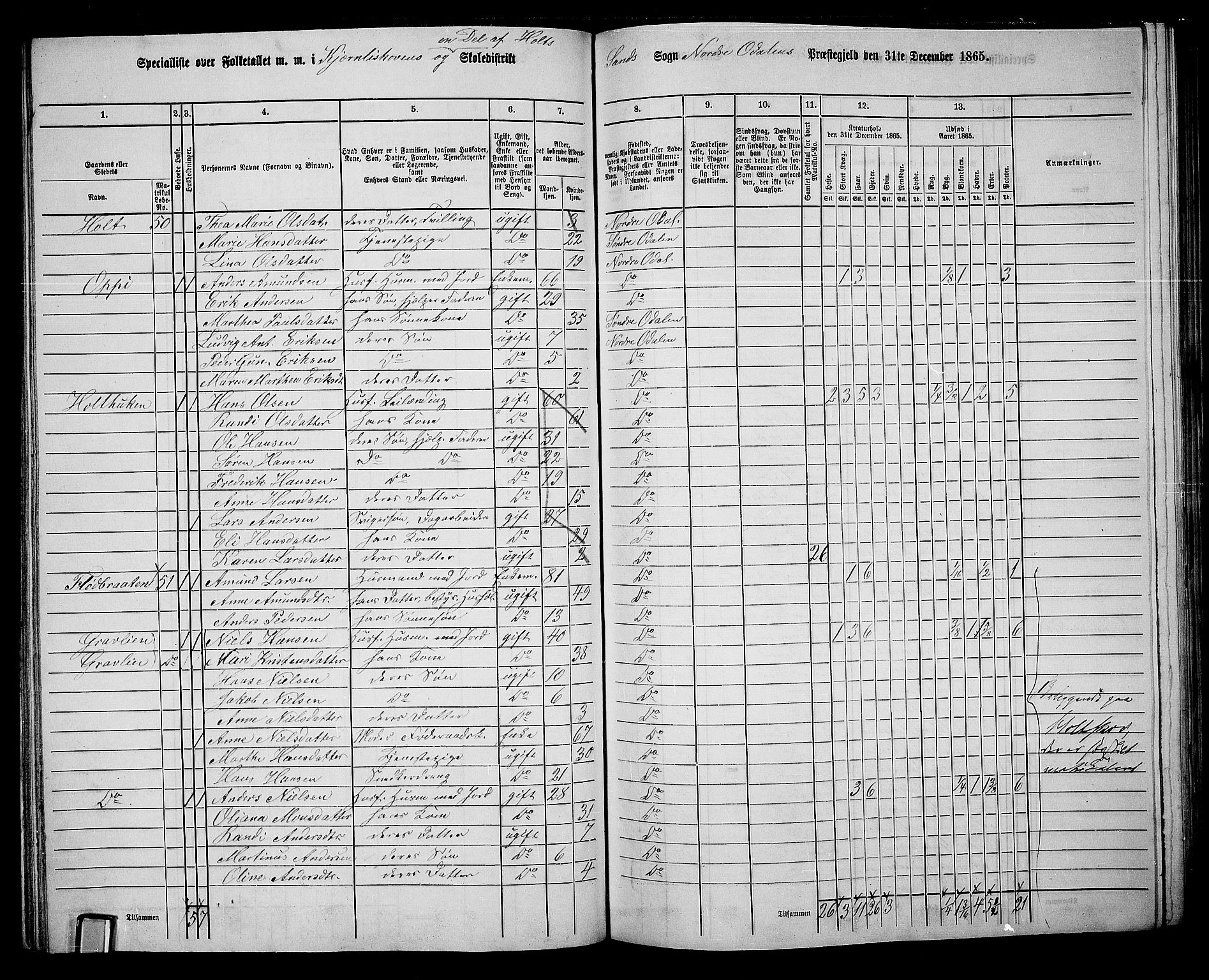 RA, 1865 census for Nord-Odal, 1865, p. 73
