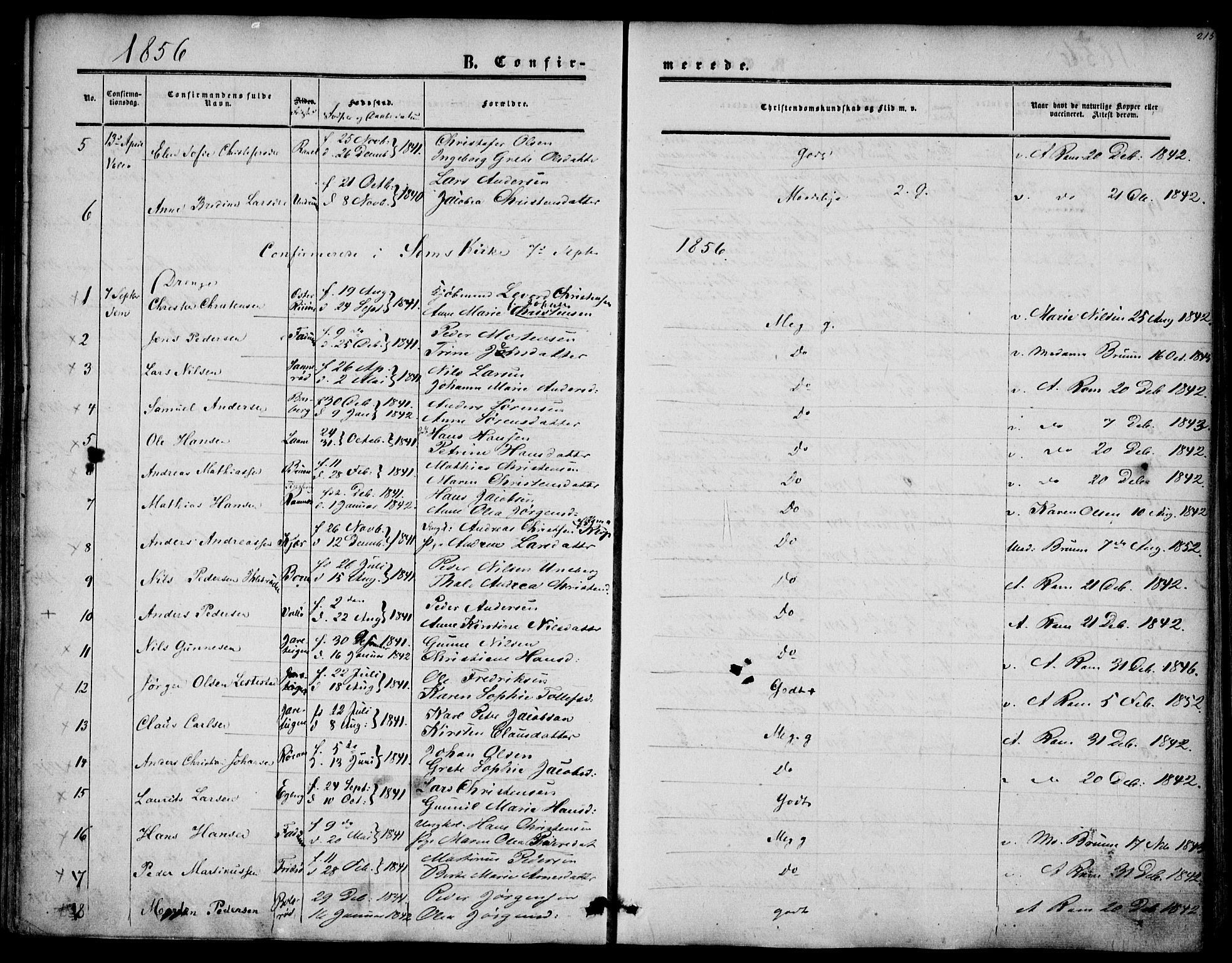 Sem kirkebøker, AV/SAKO-A-5/F/Fa/L0007: Parish register (official) no. I 7, 1856-1865, p. 215