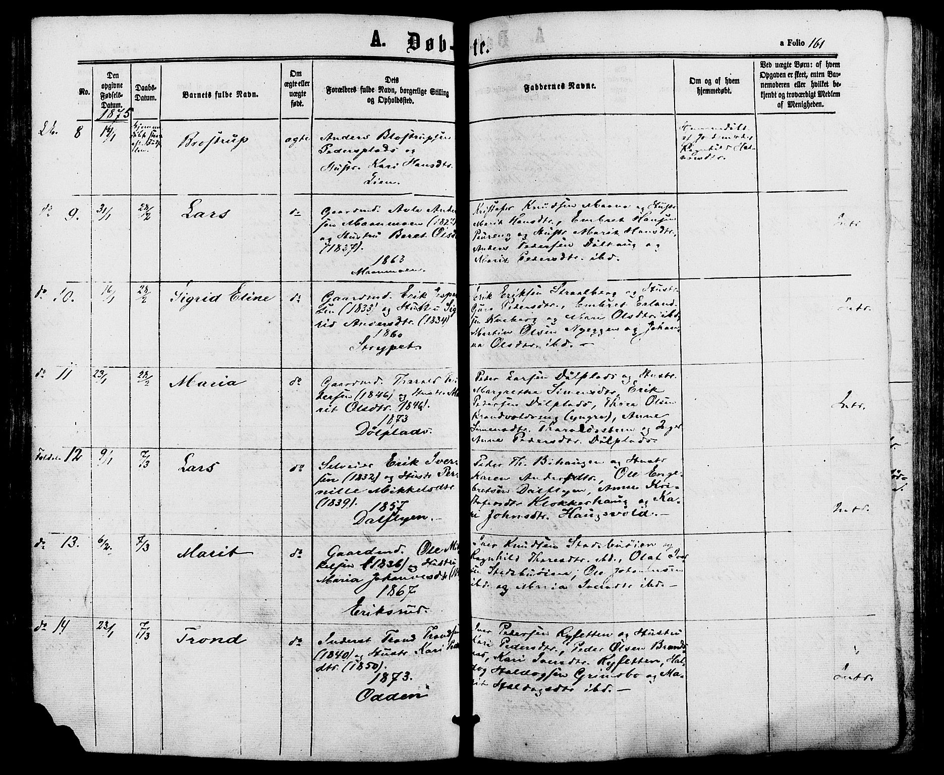 Alvdal prestekontor, AV/SAH-PREST-060/H/Ha/Haa/L0001: Parish register (official) no. 1, 1863-1882, p. 161