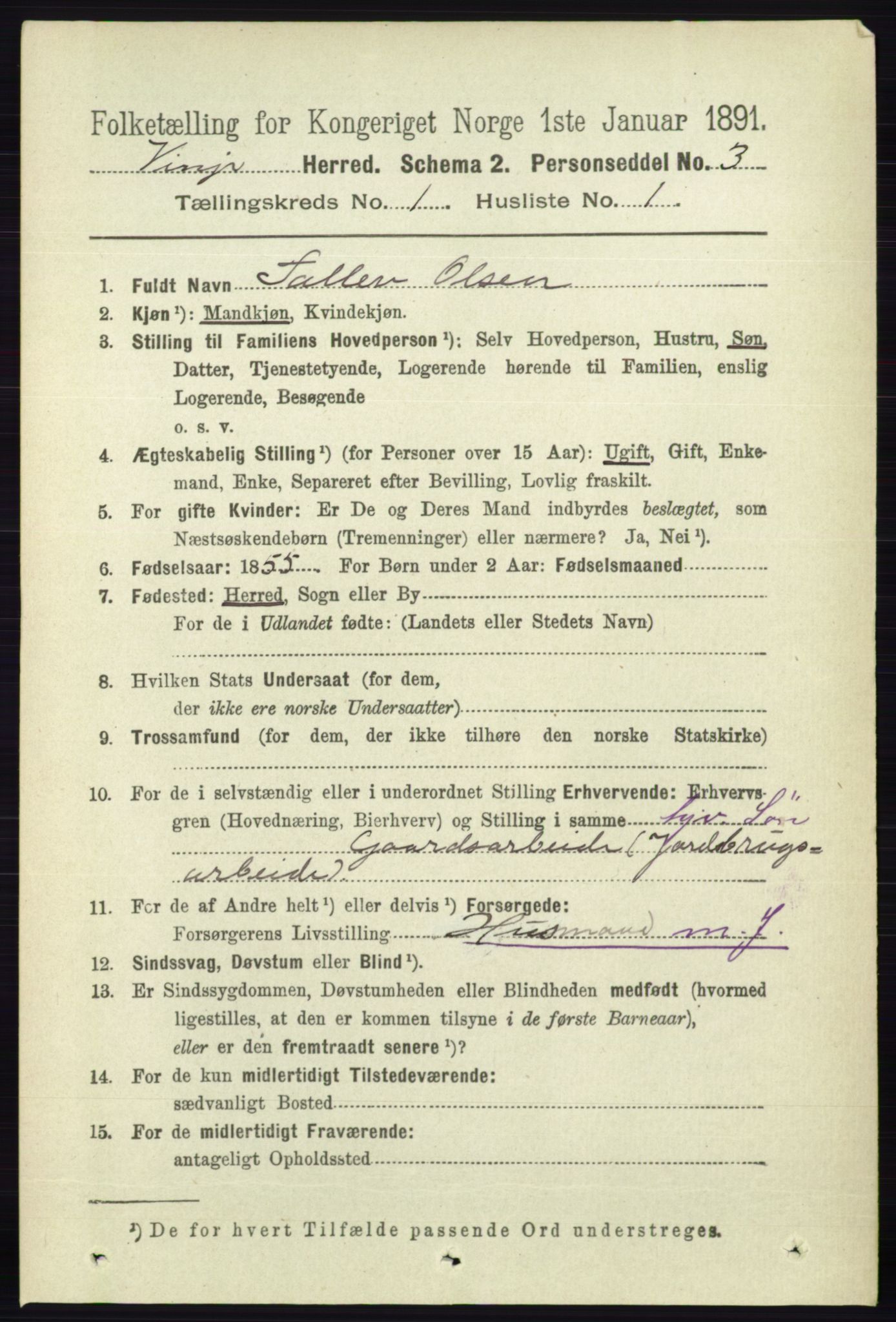 RA, 1891 census for 0834 Vinje, 1891, p. 63