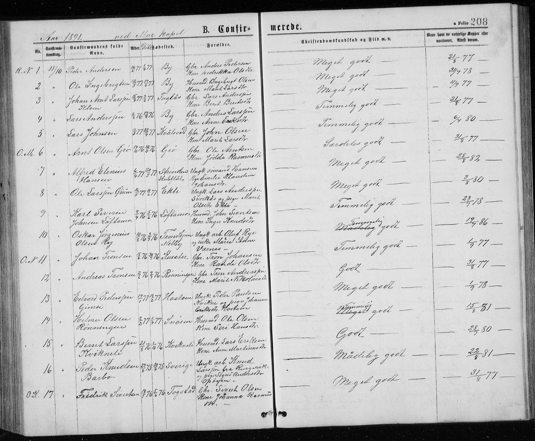 Ministerialprotokoller, klokkerbøker og fødselsregistre - Sør-Trøndelag, AV/SAT-A-1456/671/L0843: Parish register (copy) no. 671C02, 1873-1892, p. 208