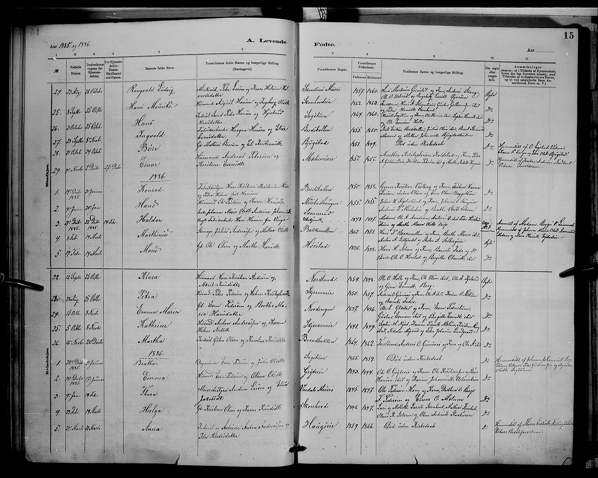 Vardal prestekontor, SAH/PREST-100/H/Ha/Hab/L0008: Parish register (copy) no. 8, 1881-1898, p. 15