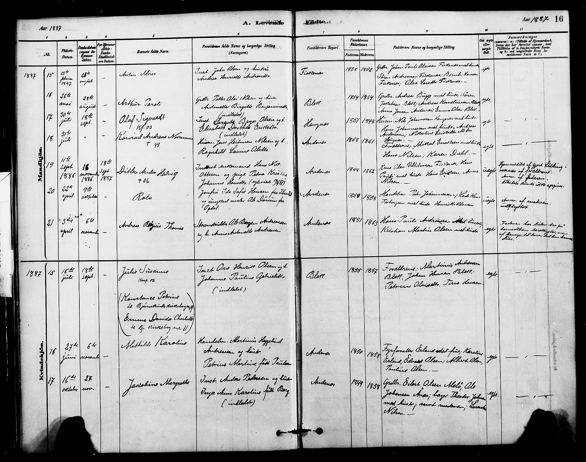 Ministerialprotokoller, klokkerbøker og fødselsregistre - Nordland, SAT/A-1459/899/L1436: Parish register (official) no. 899A04, 1881-1896, p. 16
