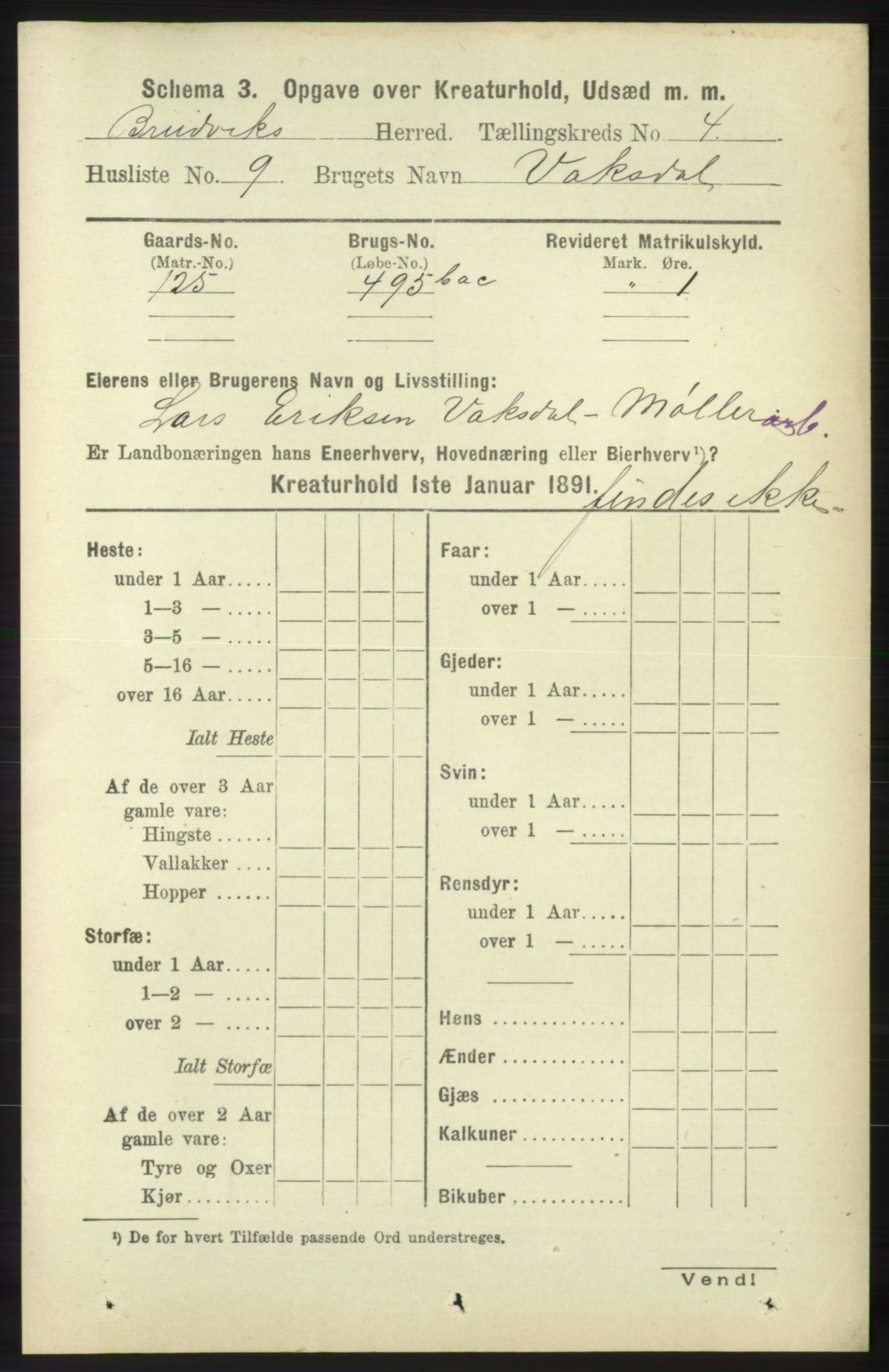 RA, 1891 census for 1251 Bruvik, 1891, p. 4412