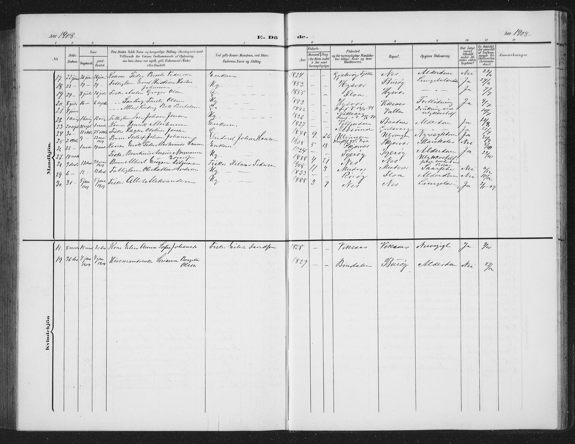 Ministerialprotokoller, klokkerbøker og fødselsregistre - Nordland, AV/SAT-A-1459/816/L0254: Parish register (copy) no. 816C04, 1905-1934