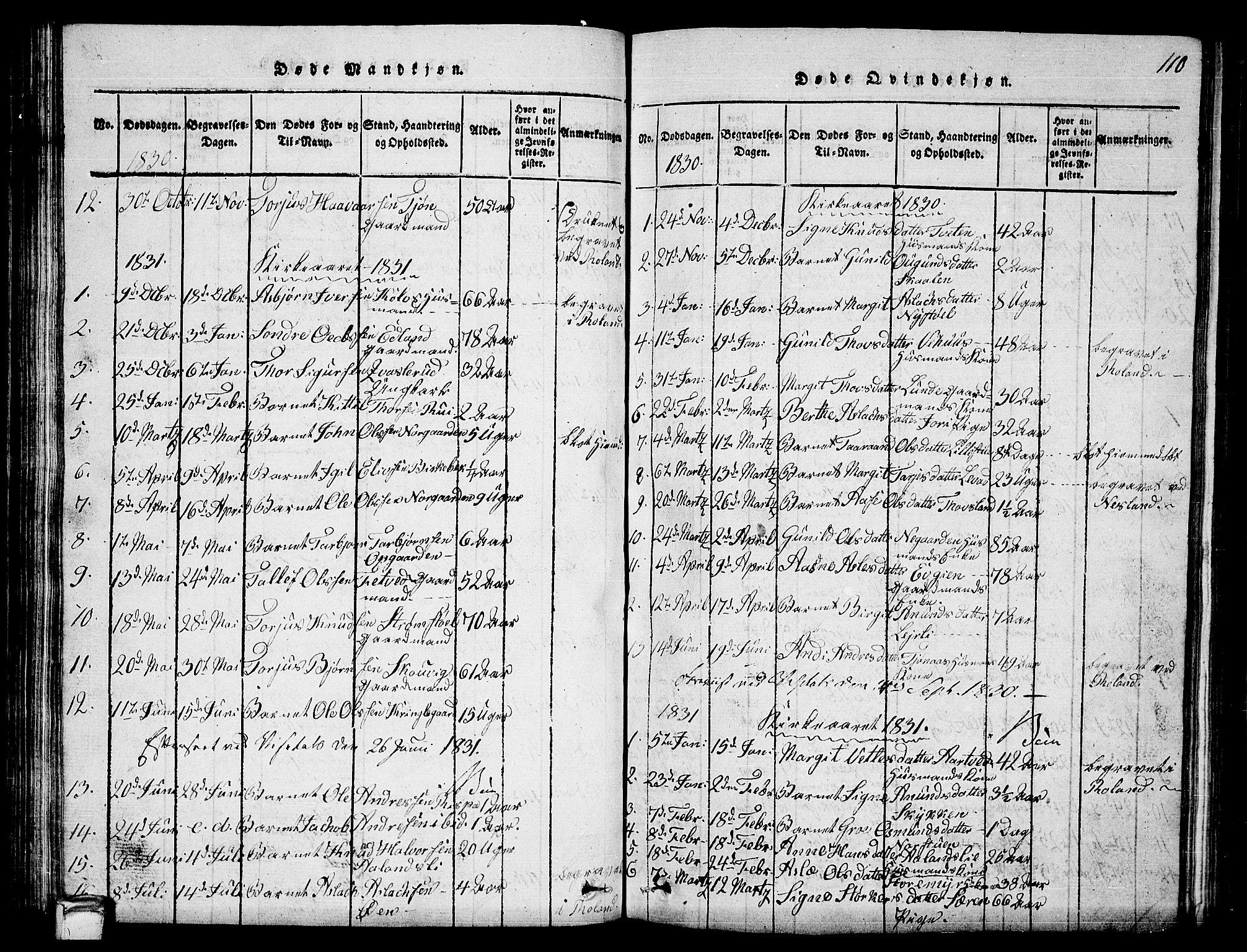 Vinje kirkebøker, SAKO/A-312/G/Ga/L0001: Parish register (copy) no. I 1, 1814-1843, p. 110