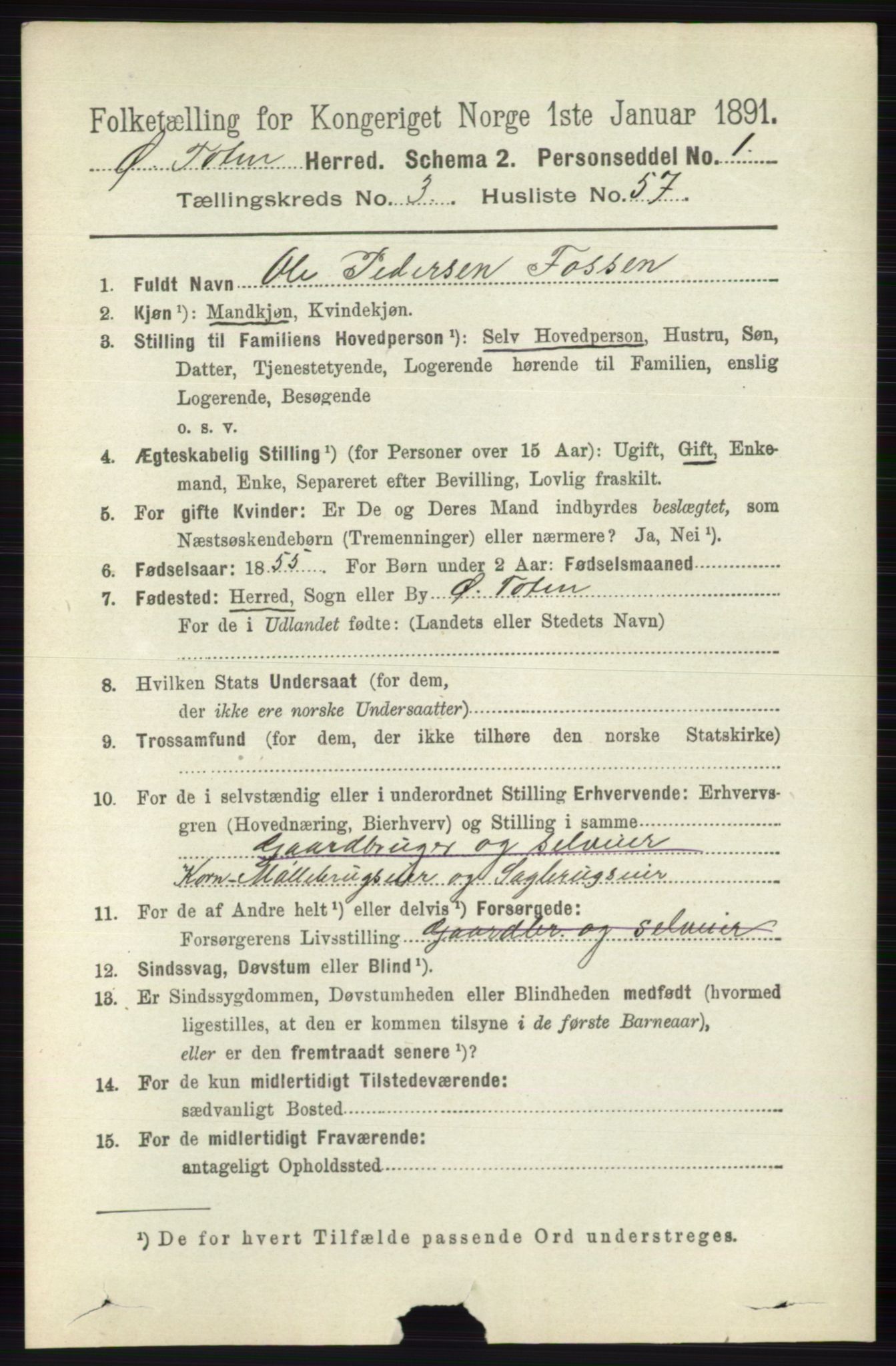 RA, 1891 census for 0528 Østre Toten, 1891, p. 1894