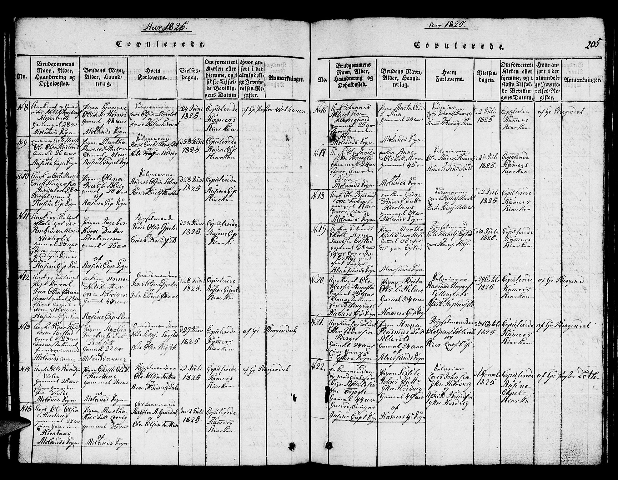 Hamre sokneprestembete, SAB/A-75501/H/Ha/Hab: Parish register (copy) no. A 1, 1816-1826, p. 205