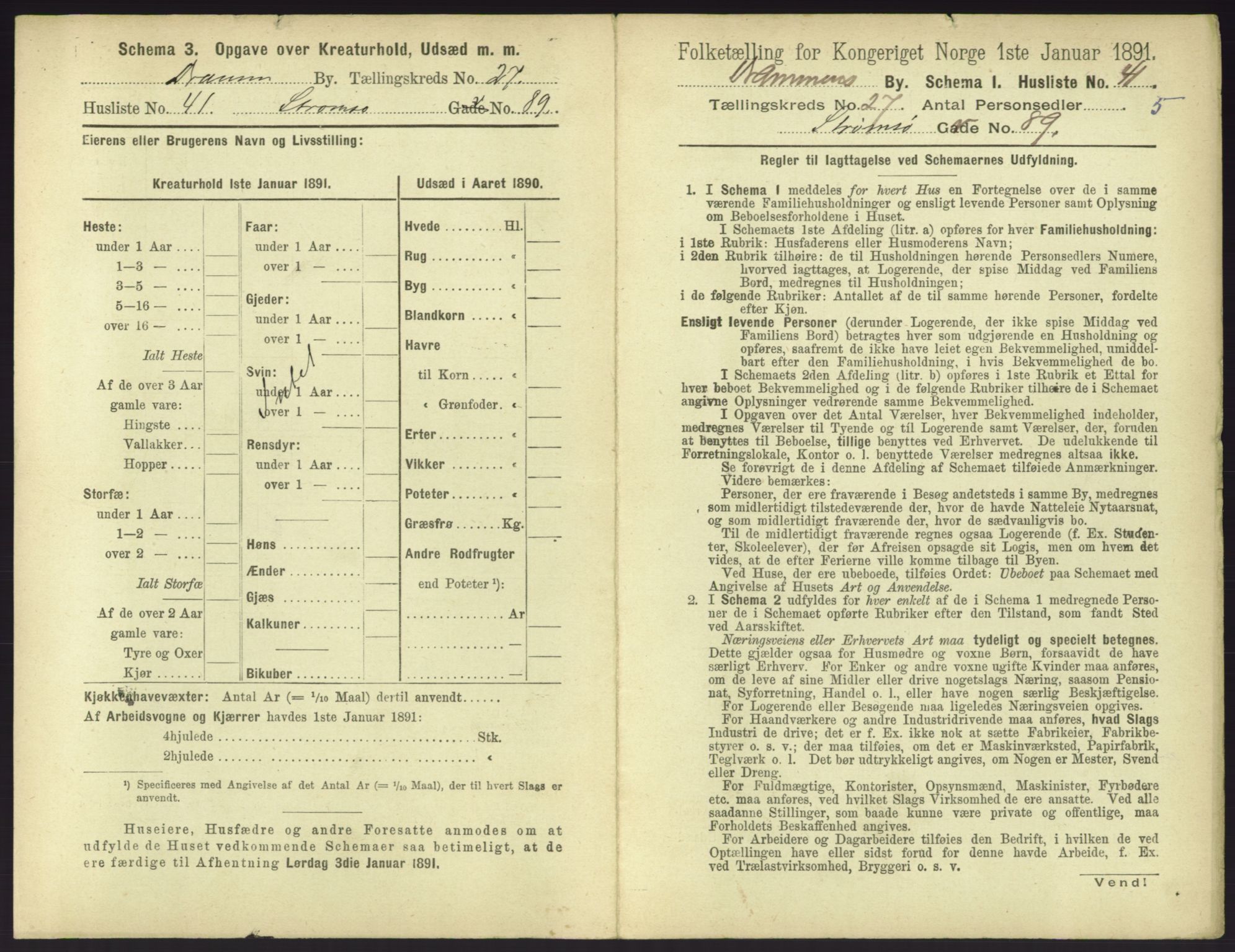 RA, 1891 census for 0602 Drammen, 1891, p. 2341