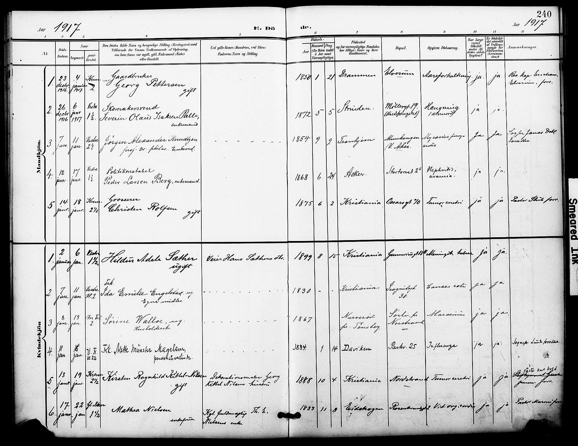 Oslo domkirke Kirkebøker, AV/SAO-A-10752/F/Fa/L0036: Parish register (official) no. 36, 1901-1919, p. 240