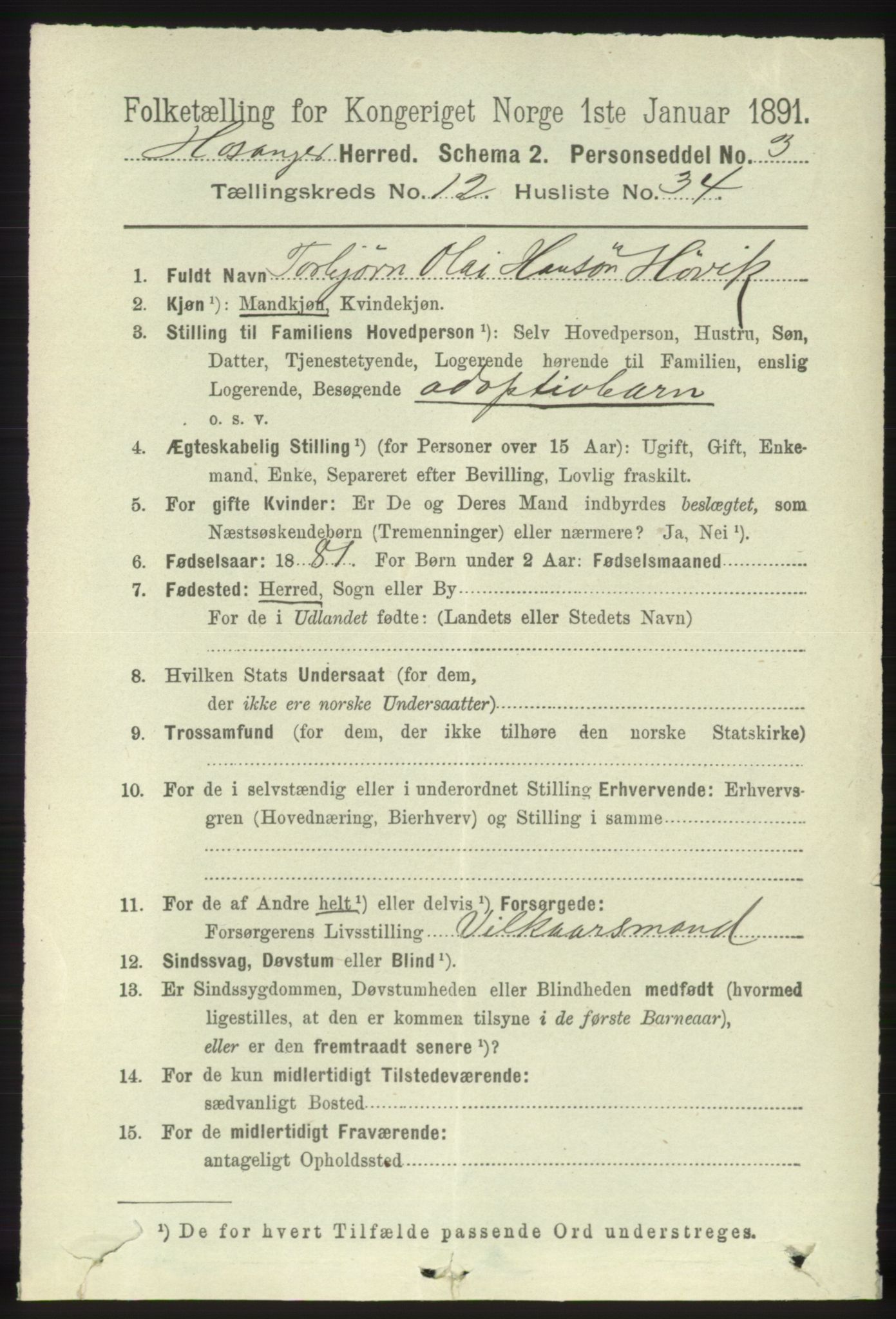 RA, 1891 census for 1253 Hosanger, 1891, p. 4273