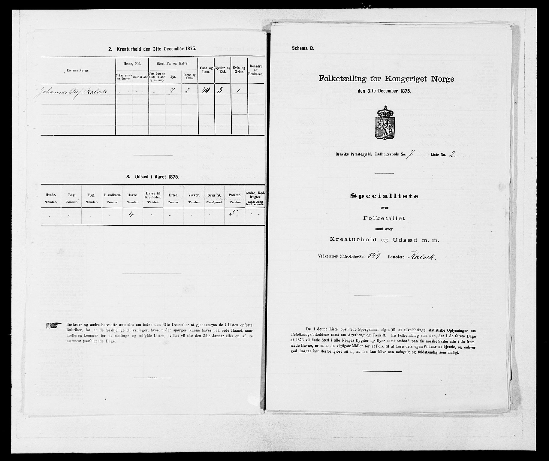 SAB, 1875 census for 1251P Bruvik, 1875, p. 493