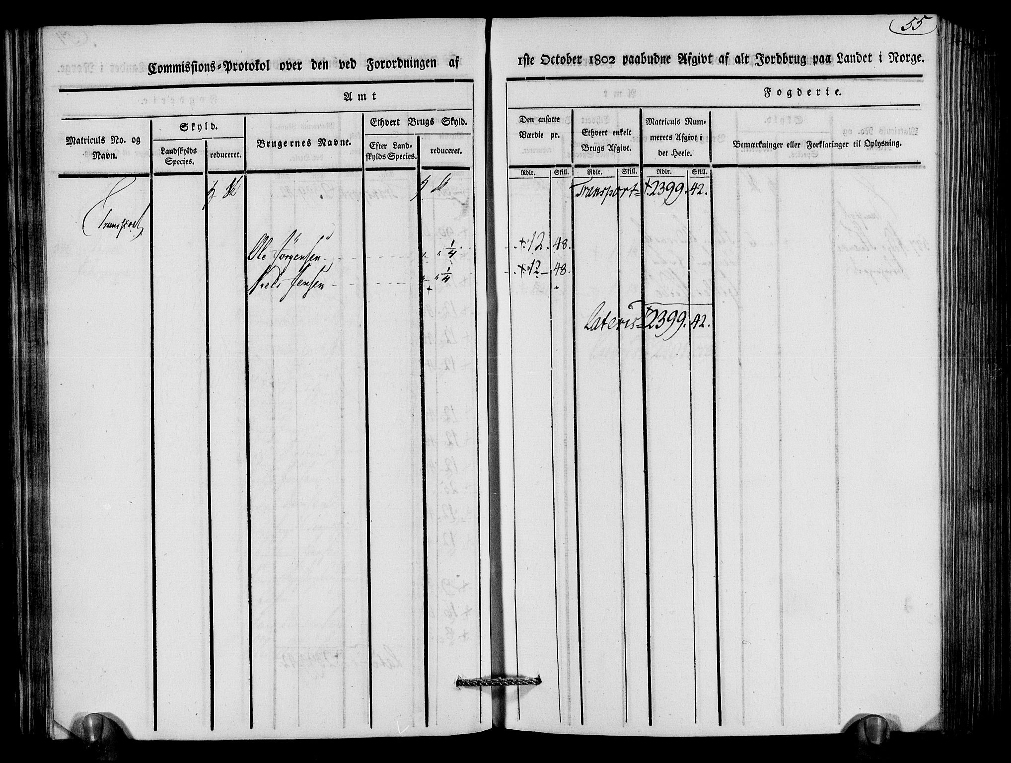 Rentekammeret inntil 1814, Realistisk ordnet avdeling, AV/RA-EA-4070/N/Ne/Nea/L0079: Nedenes fogderi. Kommisjonsprotokoll "Nr. 2", for Strengereid skipreide, 1803, p. 56