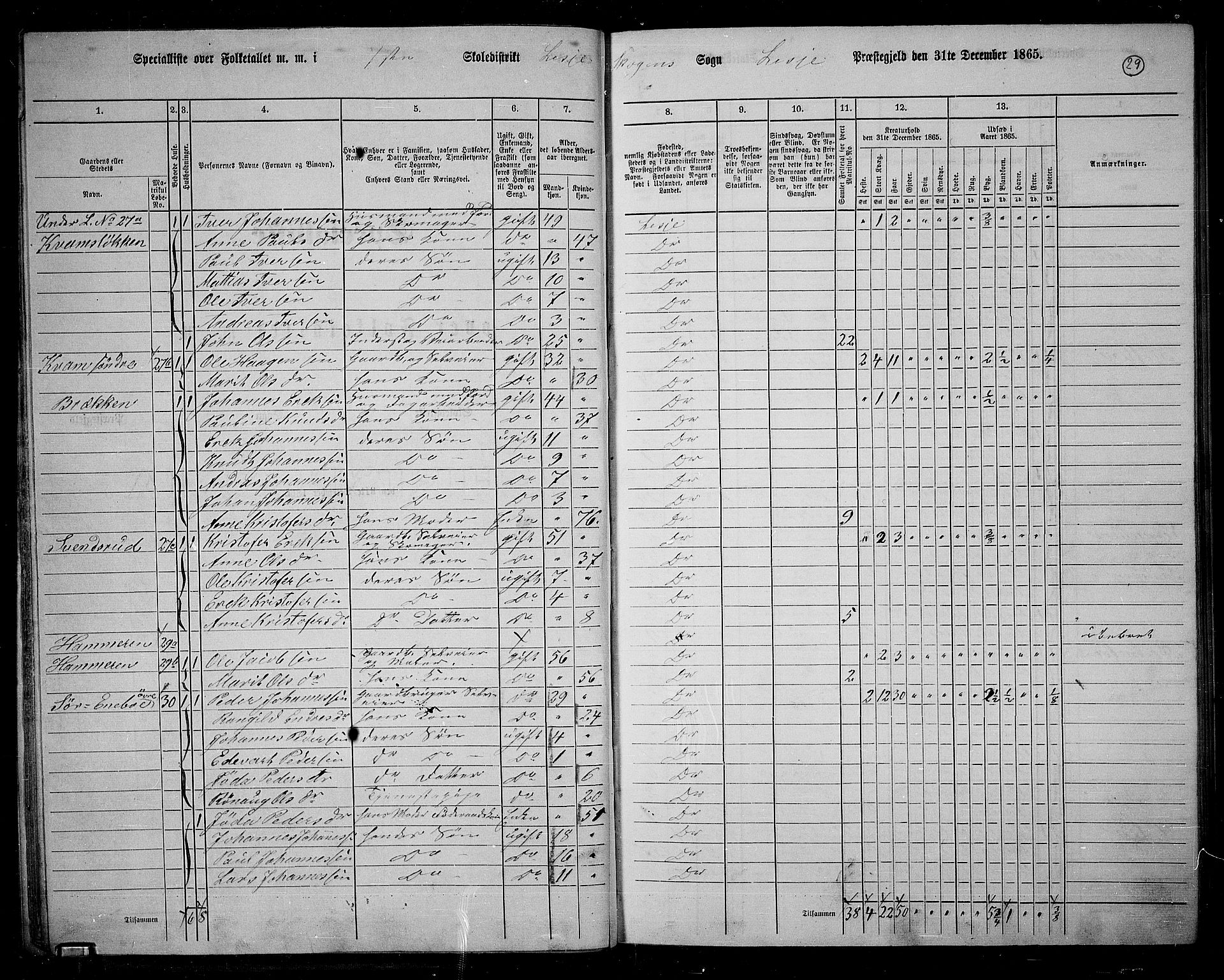 RA, 1865 census for Lesja, 1865, p. 30