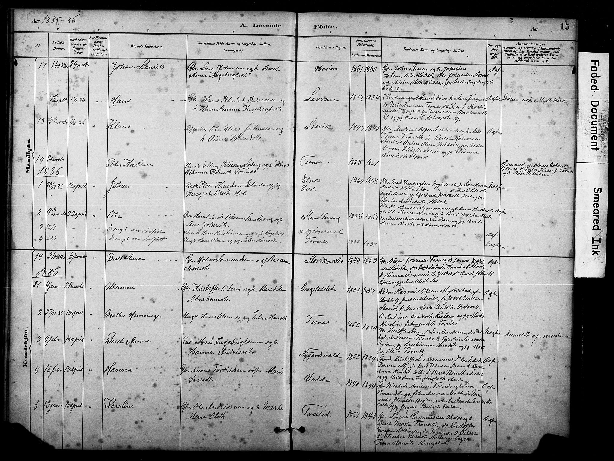 Ministerialprotokoller, klokkerbøker og fødselsregistre - Møre og Romsdal, SAT/A-1454/565/L0755: Parish register (copy) no. 565C04, 1883-1903, p. 15