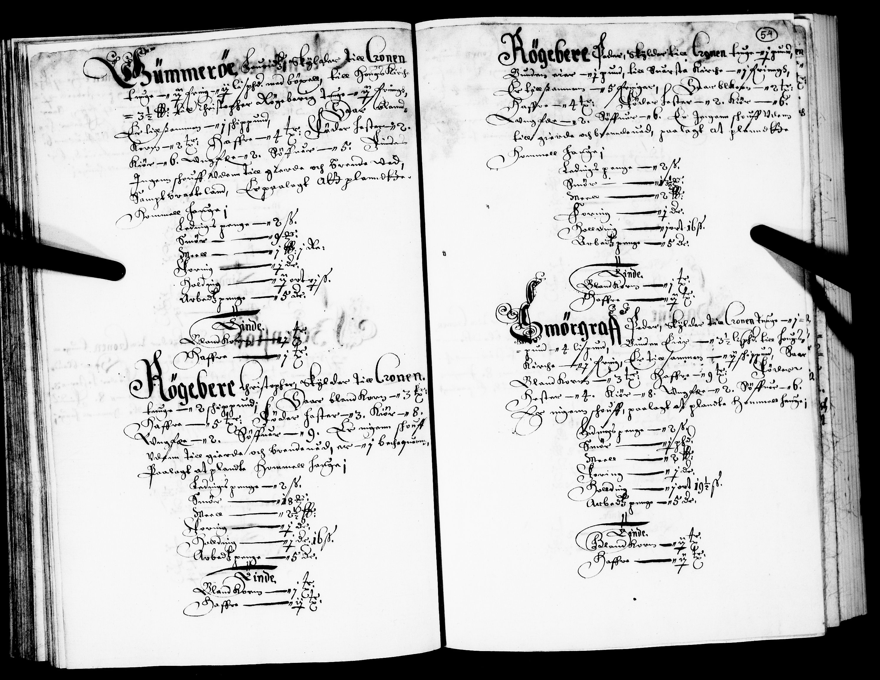 Rentekammeret inntil 1814, Realistisk ordnet avdeling, AV/RA-EA-4070/N/Nb/Nba/L0023: Eiker len, 1667, p. 53b-54a