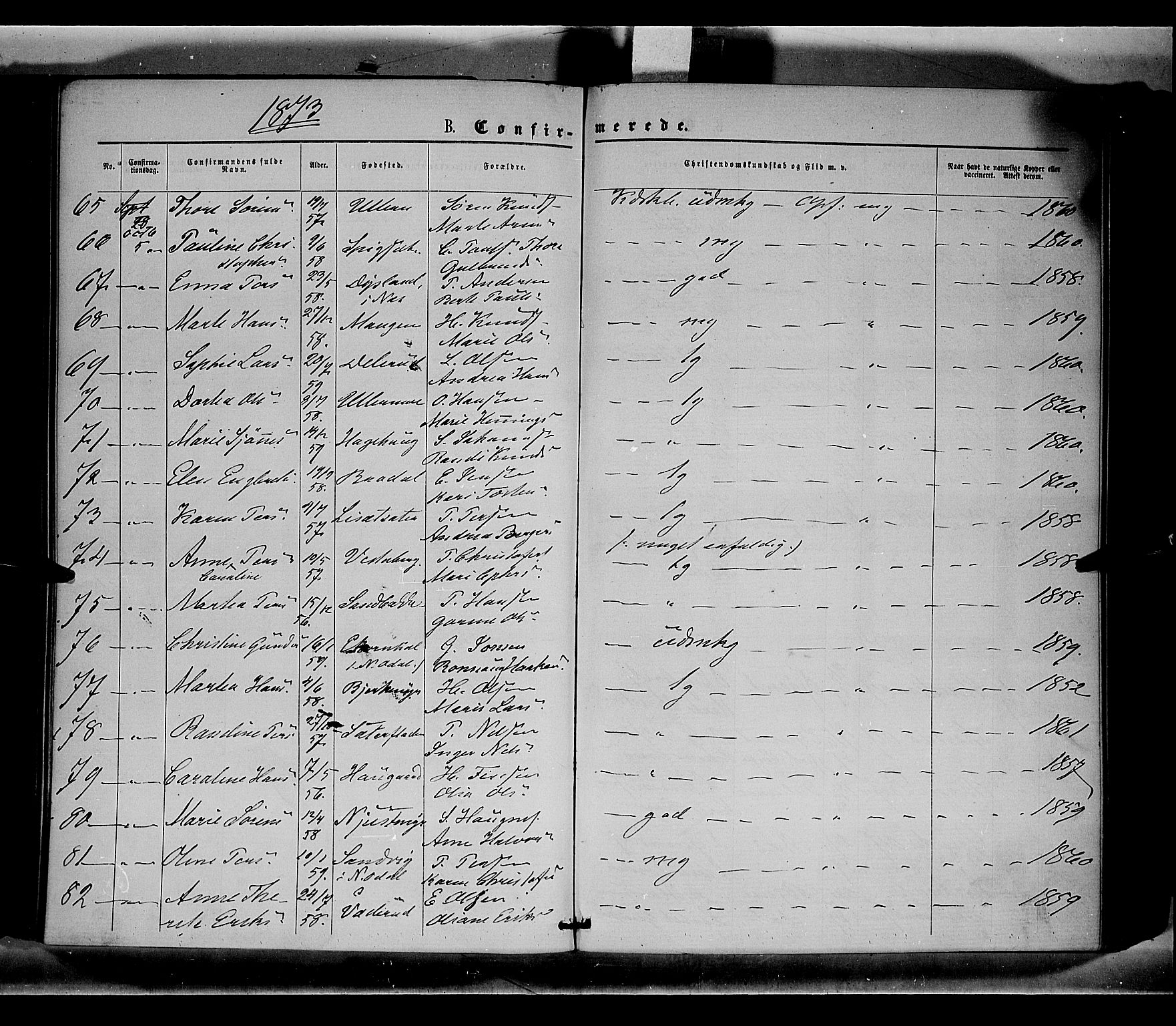 Sør-Odal prestekontor, AV/SAH-PREST-030/H/Ha/Haa/L0004: Parish register (official) no. 4, 1870-1875, p. 217