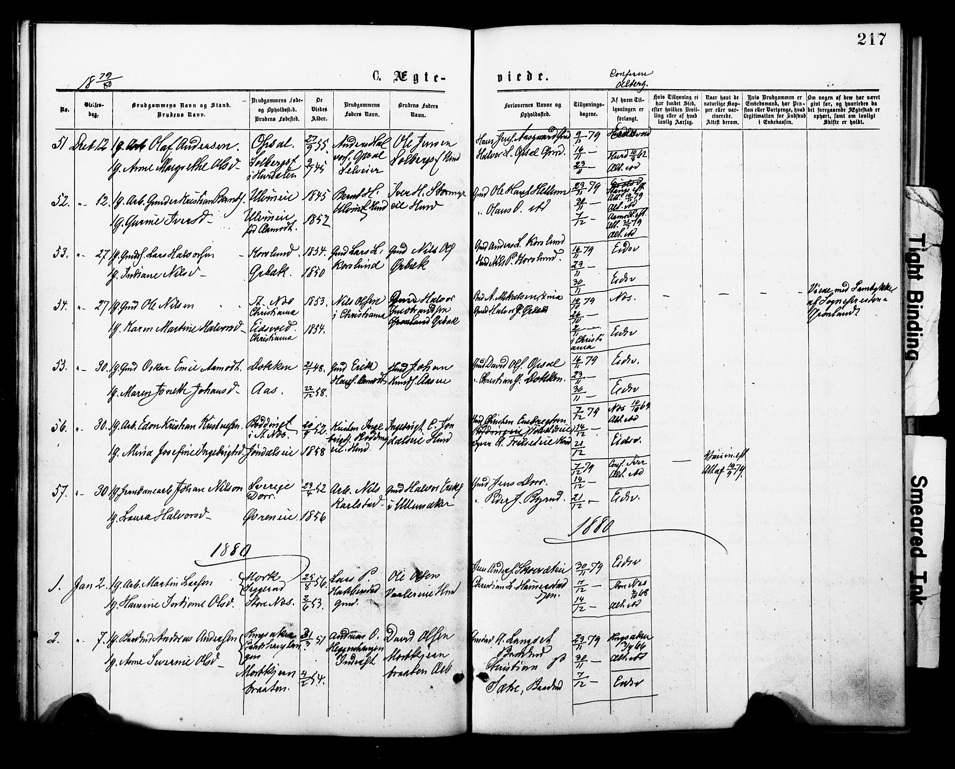 Eidsvoll prestekontor Kirkebøker, AV/SAO-A-10888/F/Fa/L0001: Parish register (official) no. I 1, 1877-1881, p. 217