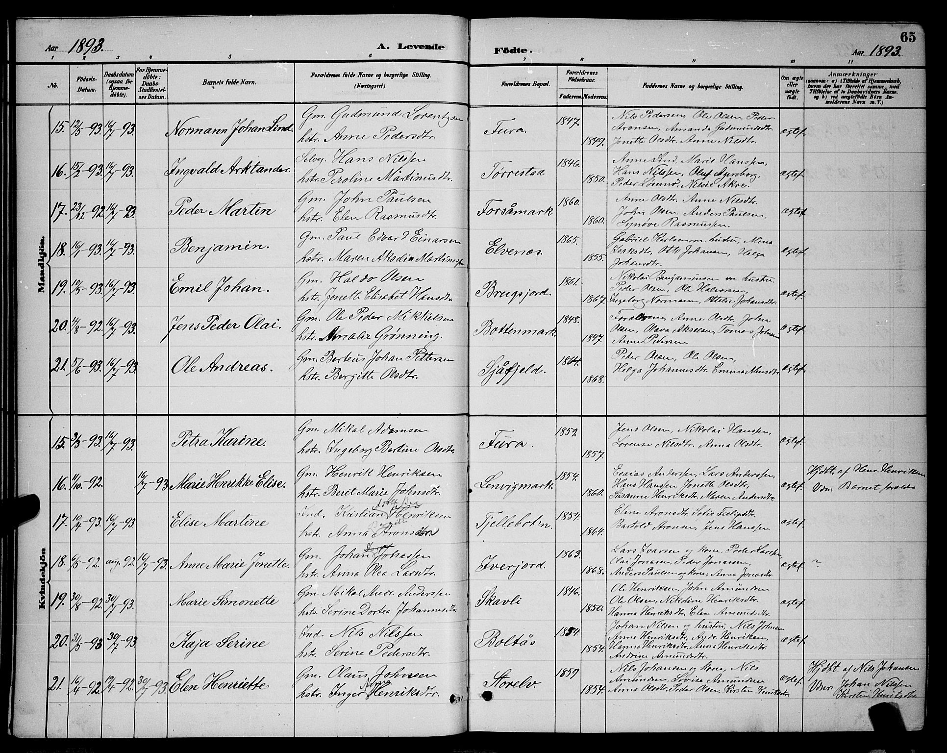 Ministerialprotokoller, klokkerbøker og fødselsregistre - Nordland, AV/SAT-A-1459/863/L0914: Parish register (copy) no. 863C04, 1886-1897, p. 65