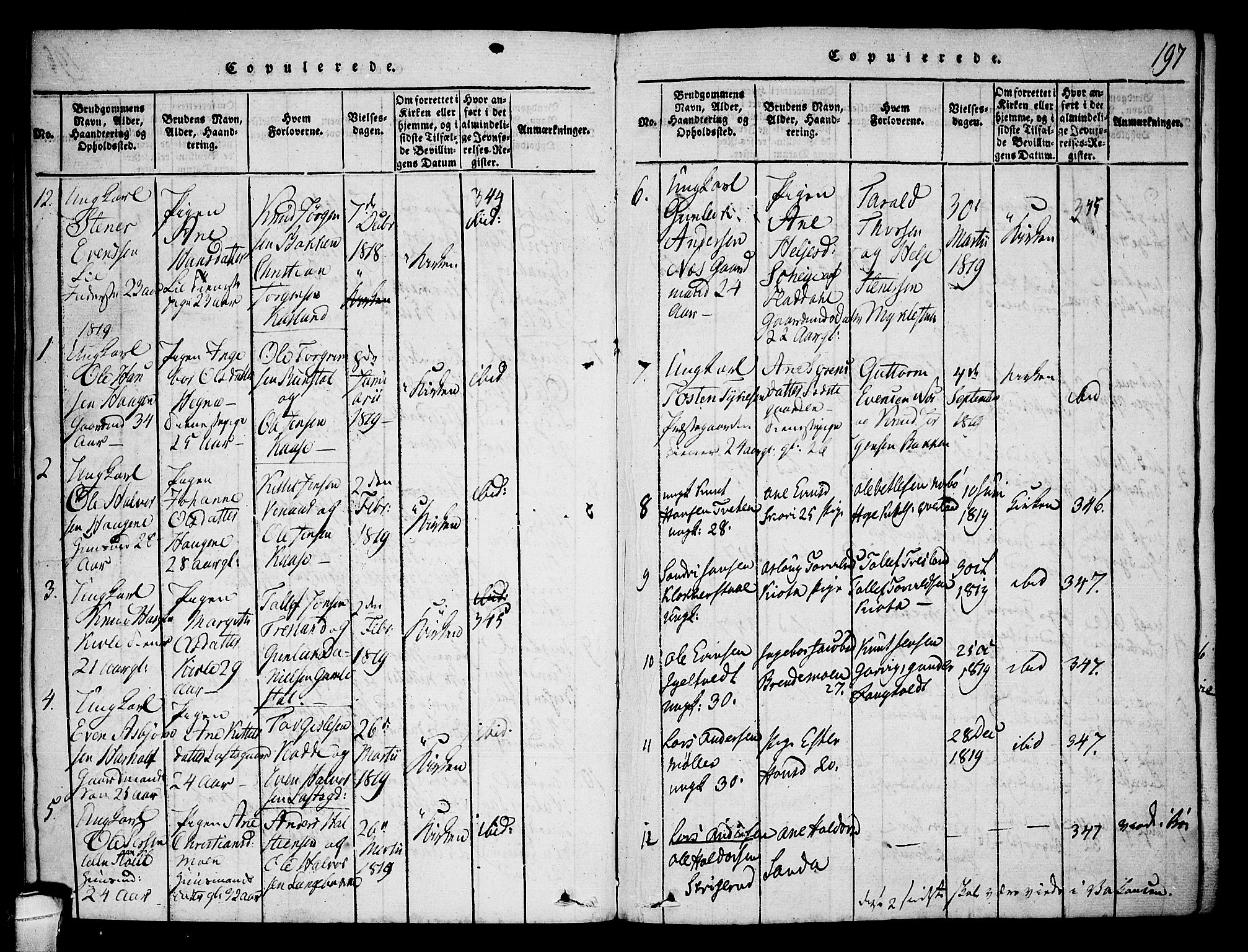 Seljord kirkebøker, SAKO/A-20/F/Fa/L0010: Parish register (official) no. I 10, 1815-1831, p. 197