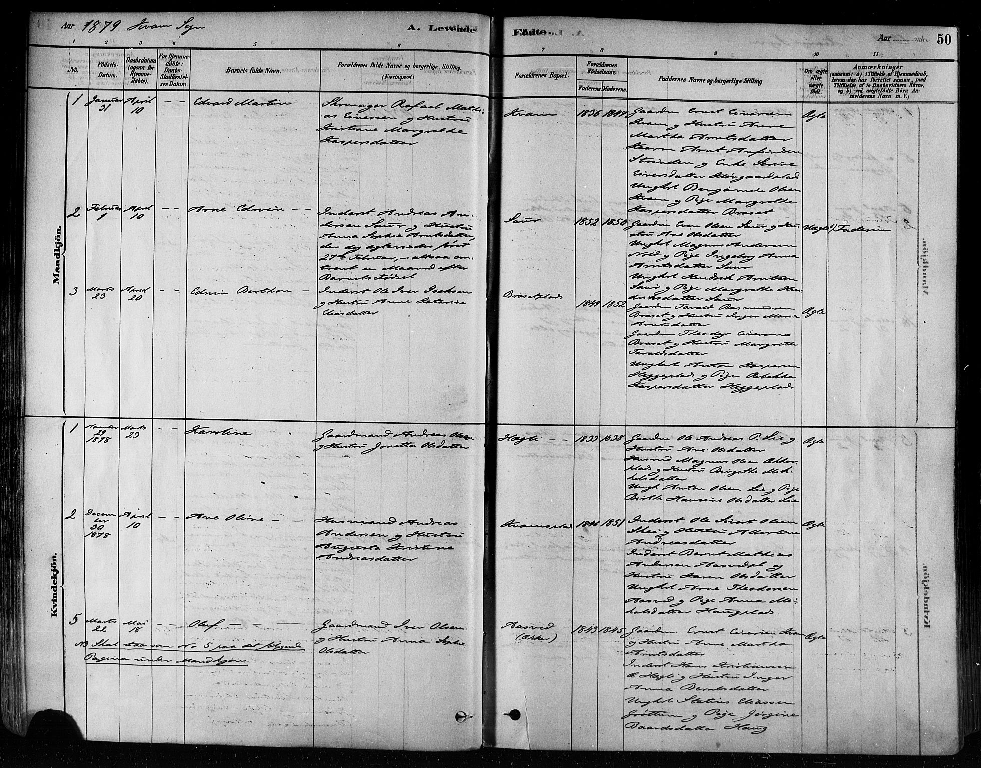 Ministerialprotokoller, klokkerbøker og fødselsregistre - Nord-Trøndelag, SAT/A-1458/746/L0449: Parish register (official) no. 746A07 /2, 1878-1899, p. 50