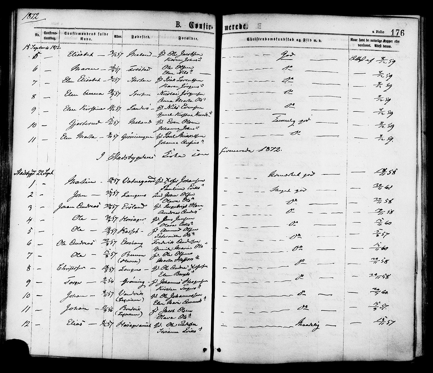 Ministerialprotokoller, klokkerbøker og fødselsregistre - Sør-Trøndelag, SAT/A-1456/646/L0613: Parish register (official) no. 646A11, 1870-1884, p. 176