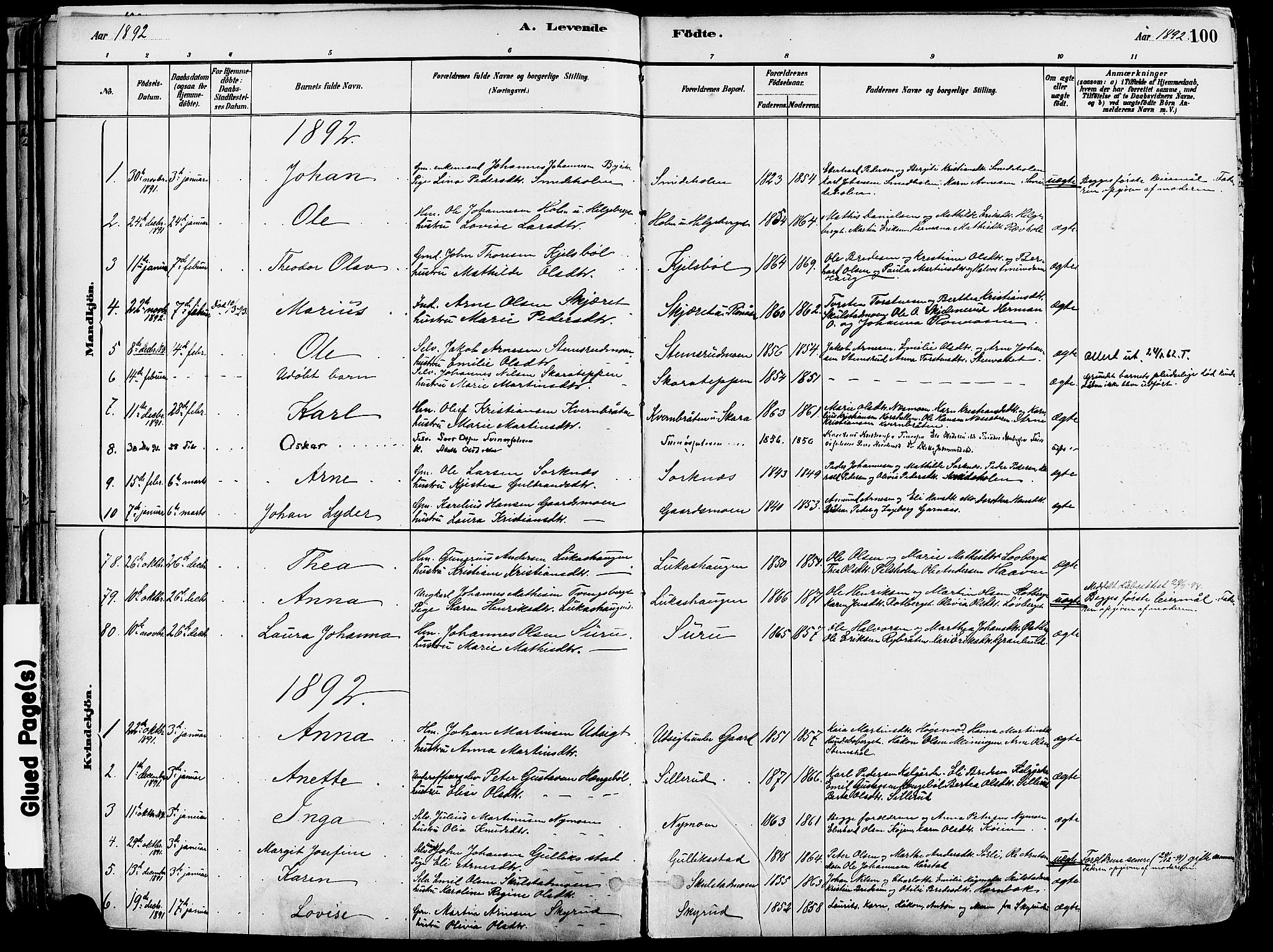 Grue prestekontor, SAH/PREST-036/H/Ha/Haa/L0012: Parish register (official) no. 12, 1881-1897, p. 100