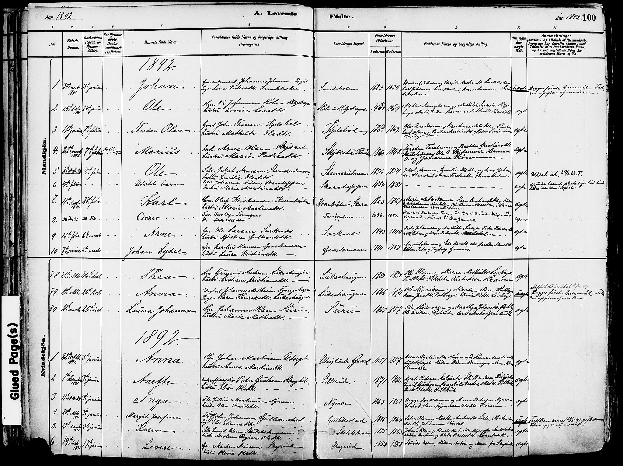 Grue prestekontor, AV/SAH-PREST-036/H/Ha/Haa/L0012: Parish register (official) no. 12, 1881-1897, p. 100