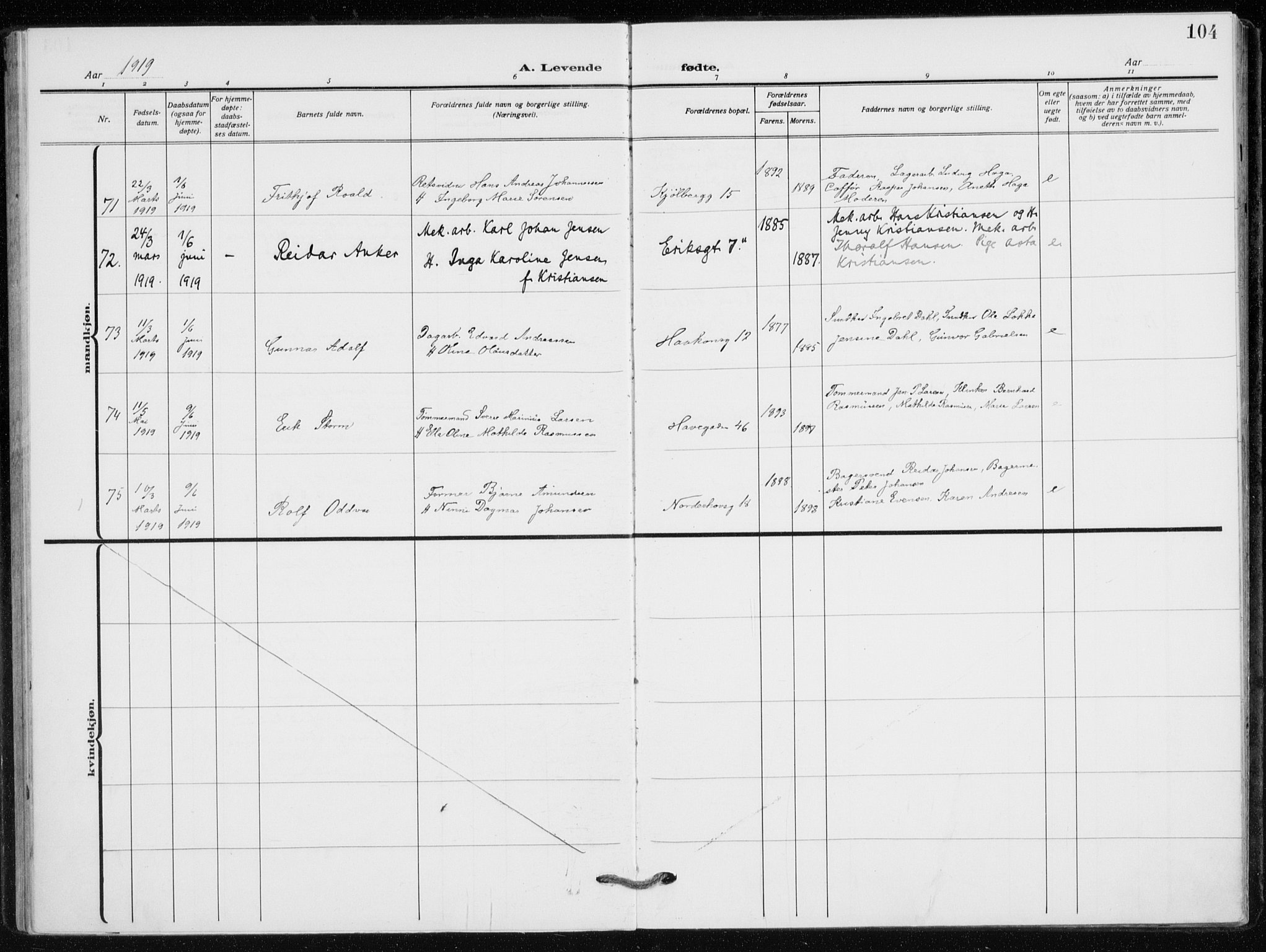 Kampen prestekontor Kirkebøker, SAO/A-10853/F/Fa/L0012: Parish register (official) no. I 12, 1916-1921, p. 104