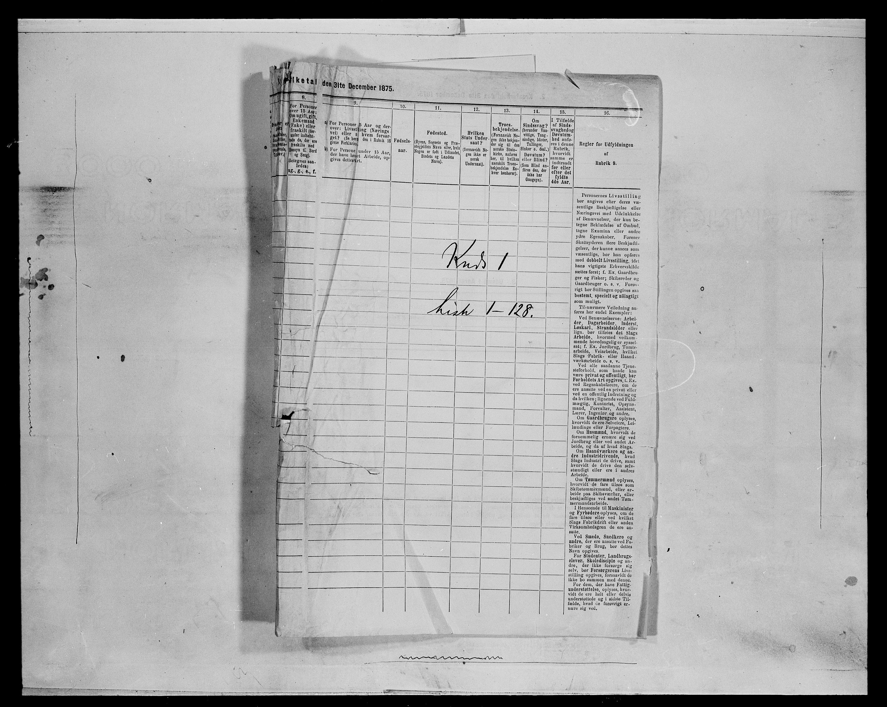 SAH, 1875 census for 0427P Elverum, 1875, p. 233