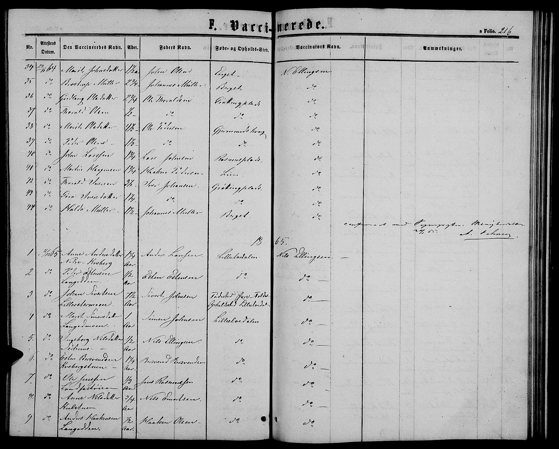 Alvdal prestekontor, SAH/PREST-060/H/Ha/Hab/L0002: Parish register (copy) no. 2, 1863-1878, p. 216