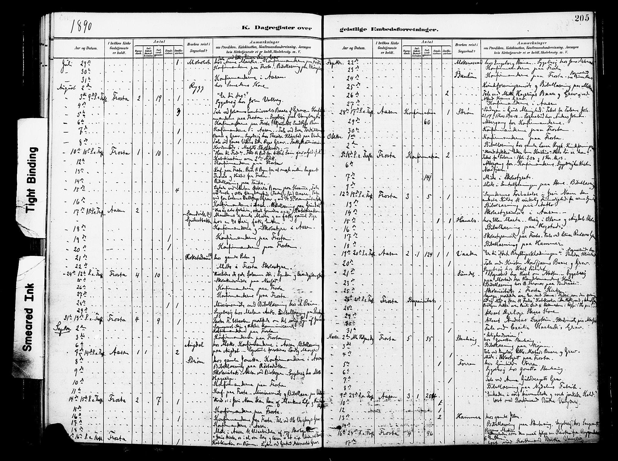 Ministerialprotokoller, klokkerbøker og fødselsregistre - Nord-Trøndelag, SAT/A-1458/713/L0121: Parish register (official) no. 713A10, 1888-1898, p. 205