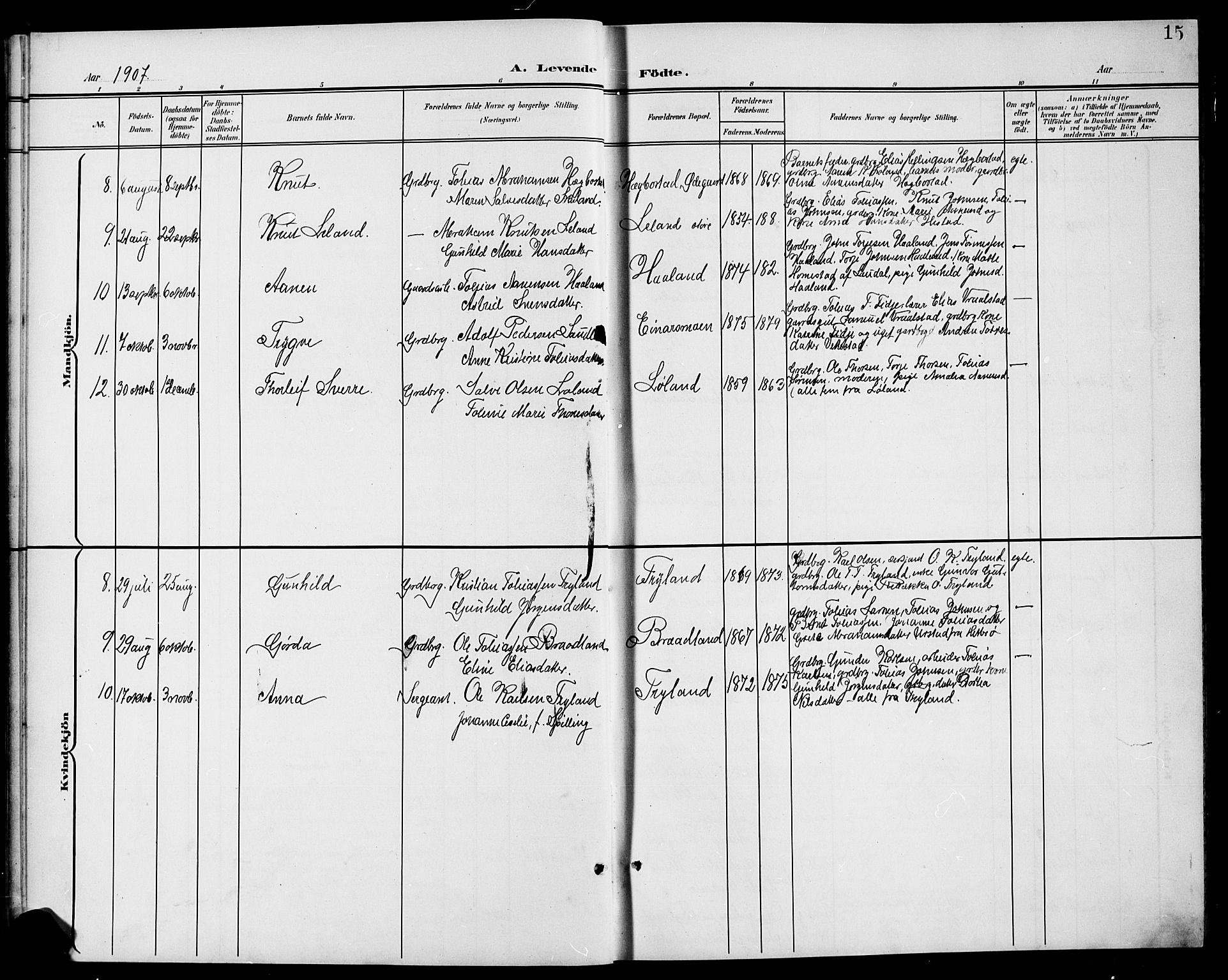 Nord-Audnedal sokneprestkontor, SAK/1111-0032/F/Fb/Fbb/L0004: Parish register (copy) no. B 4, 1901-1917, p. 15