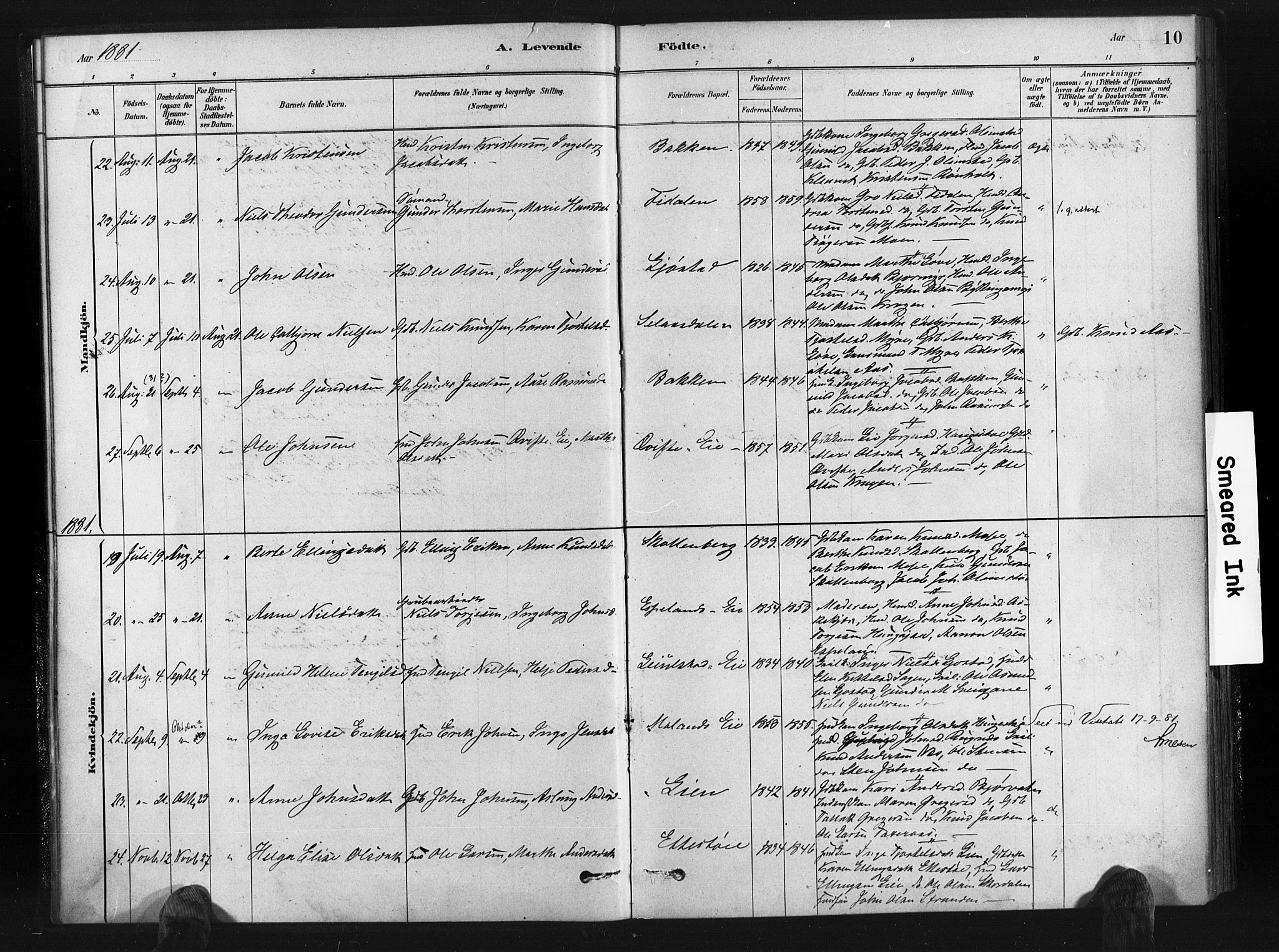 Gjerstad sokneprestkontor, AV/SAK-1111-0014/F/Fa/Fab/L0004: Parish register (official) no. A 4, 1879-1890, p. 10