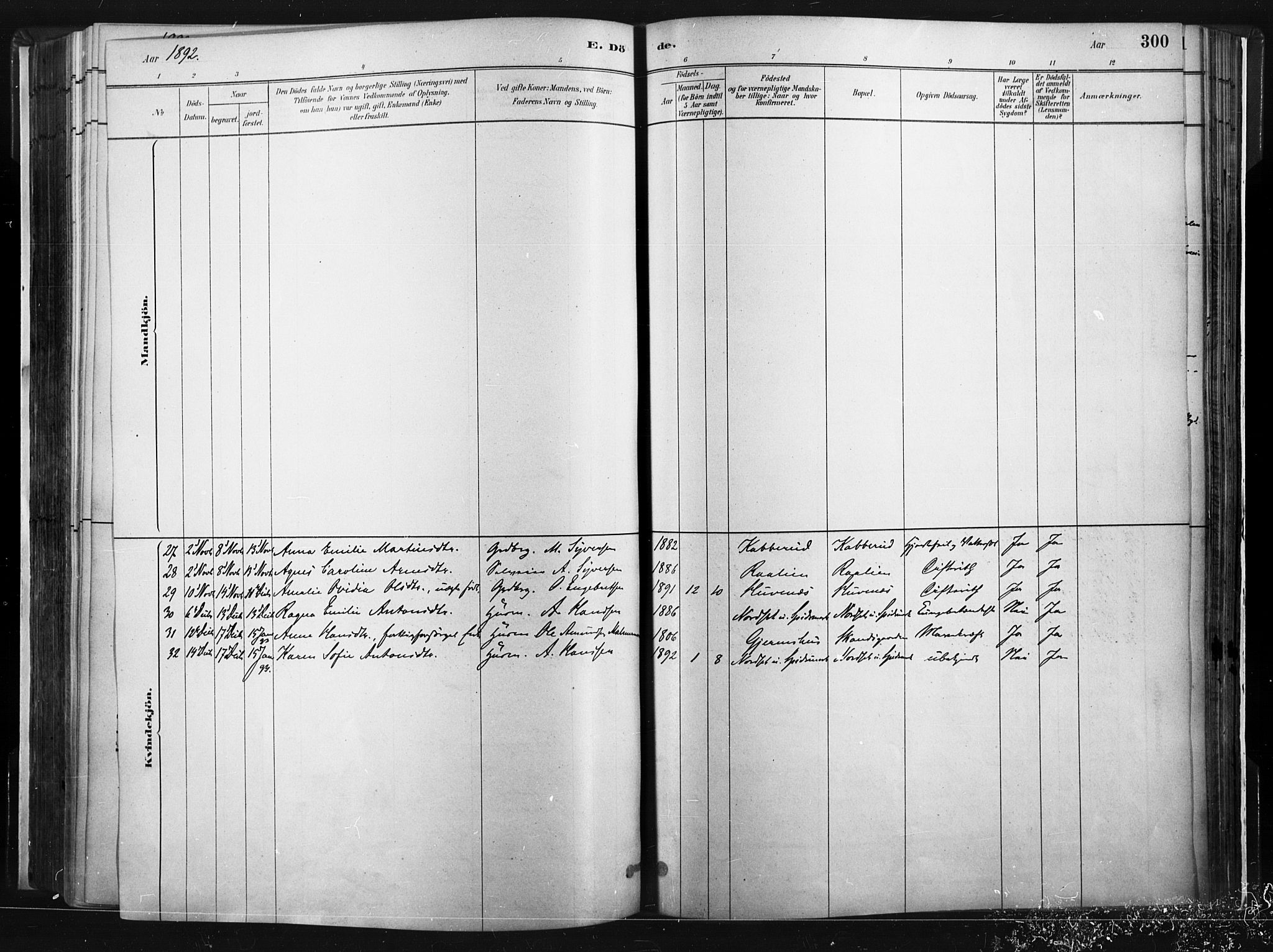 Vinger prestekontor, AV/SAH-PREST-024/H/Ha/Haa/L0014: Parish register (official) no. 14, 1881-1900, p. 300