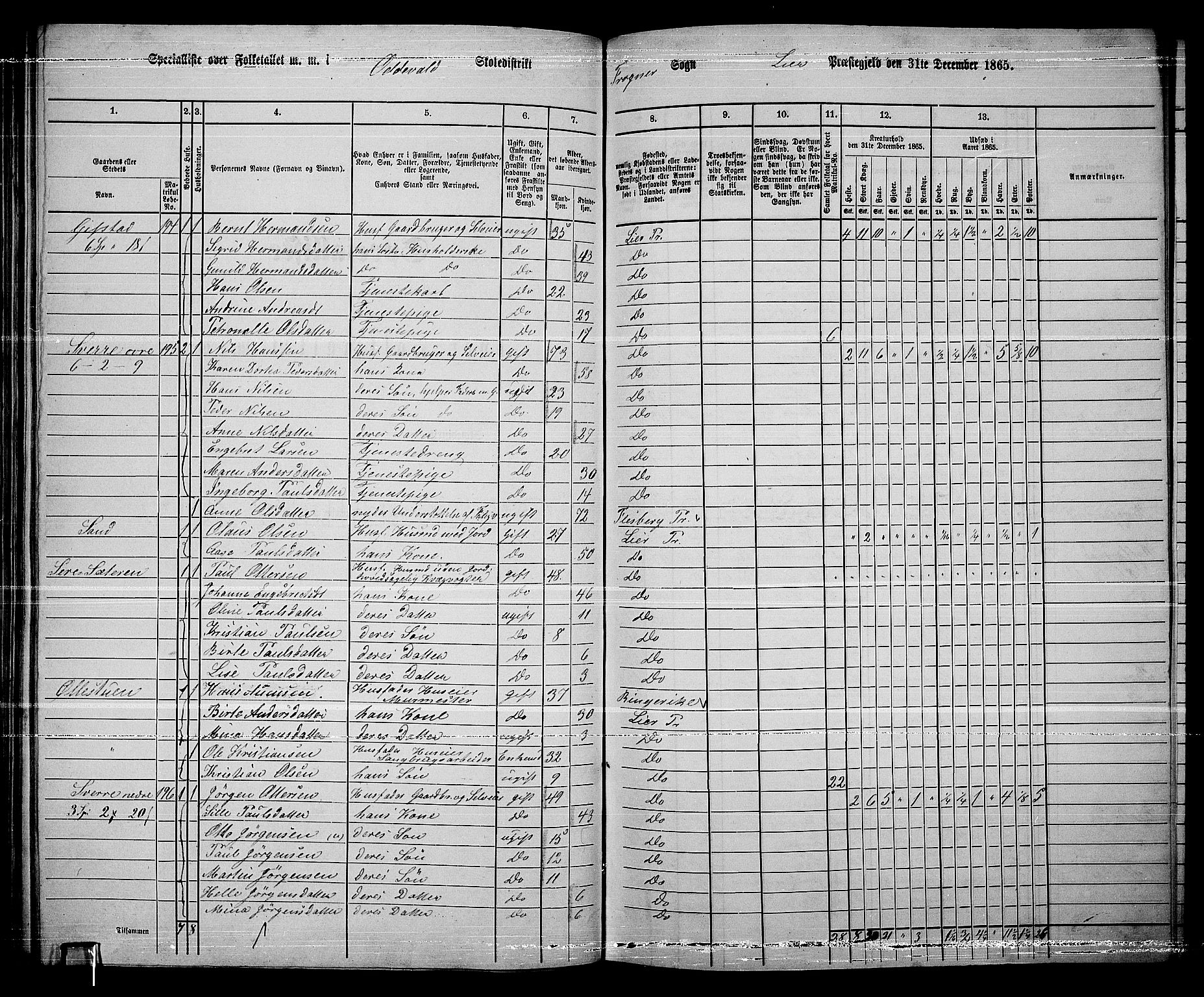 RA, 1865 census for Lier, 1865, p. 120