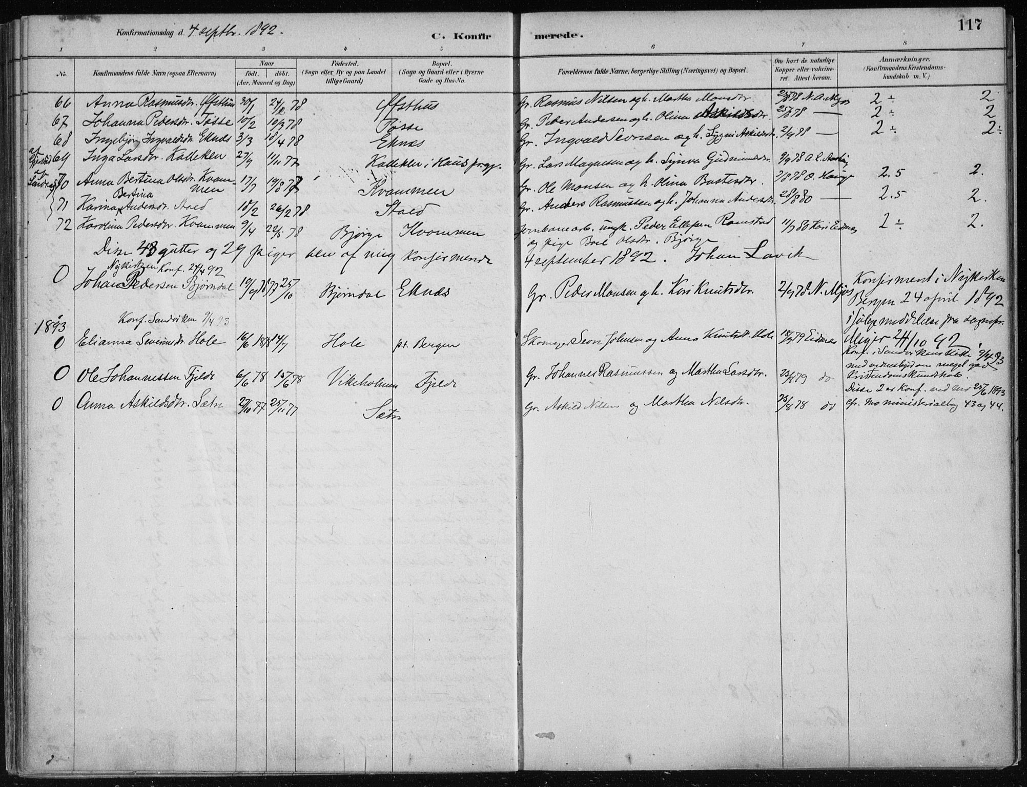 Hosanger sokneprestembete, AV/SAB-A-75801/H/Haa: Parish register (official) no. B  1, 1880-1896, p. 117