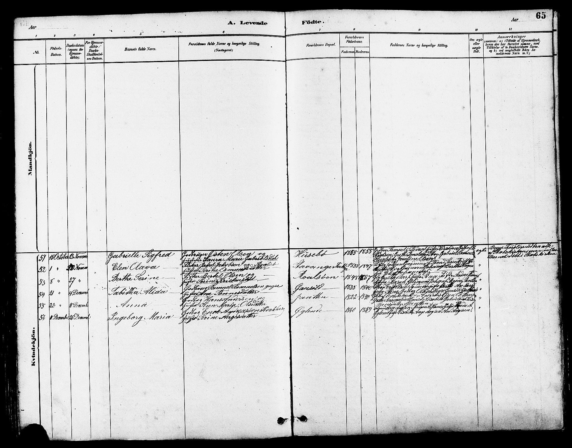 Hetland sokneprestkontor, AV/SAST-A-101826/30/30BB/L0005: Parish register (copy) no. B 5, 1878-1910, p. 65