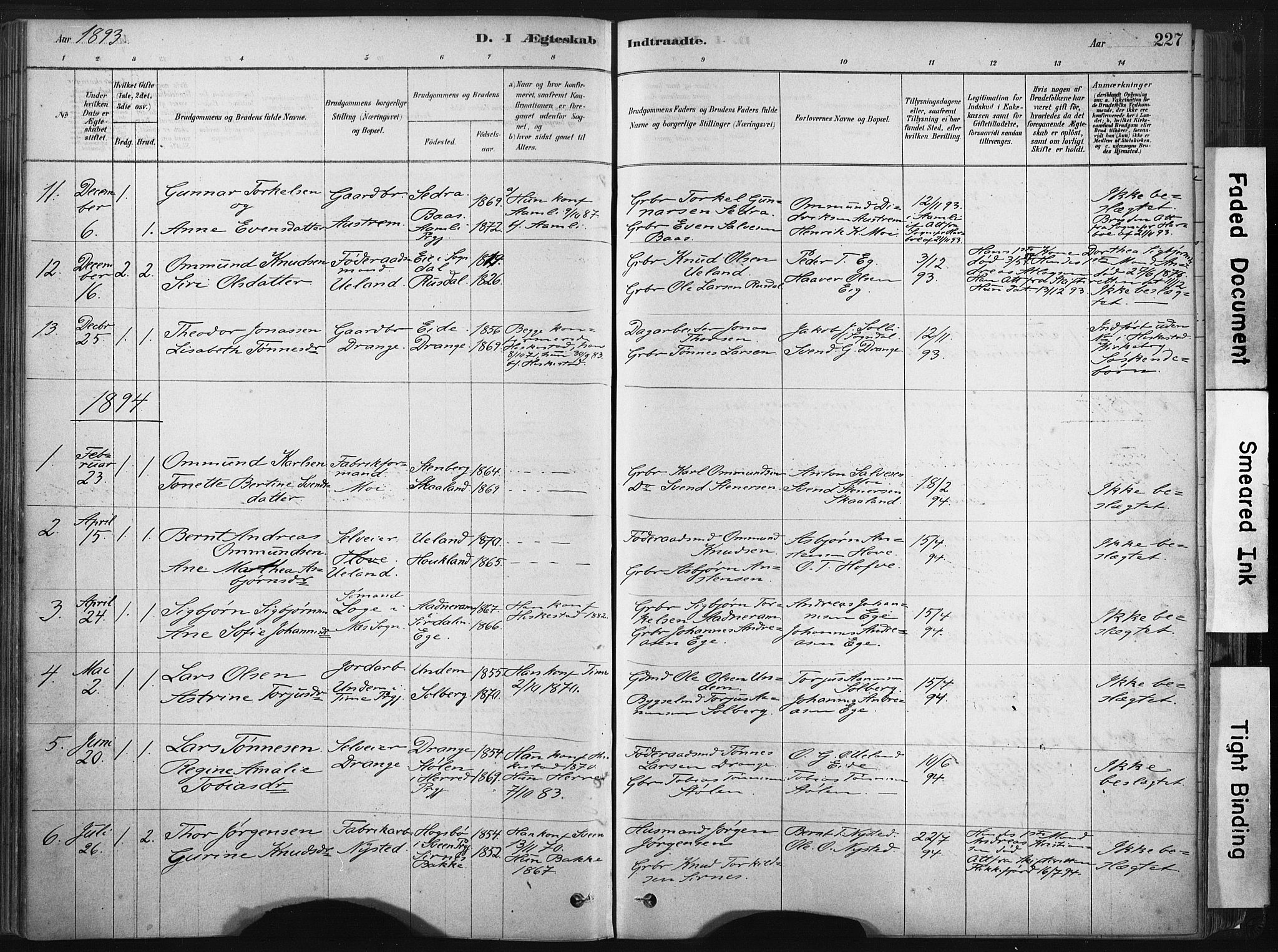 Lund sokneprestkontor, SAST/A-101809/S06/L0011: Parish register (official) no. A 10, 1877-1904, p. 227