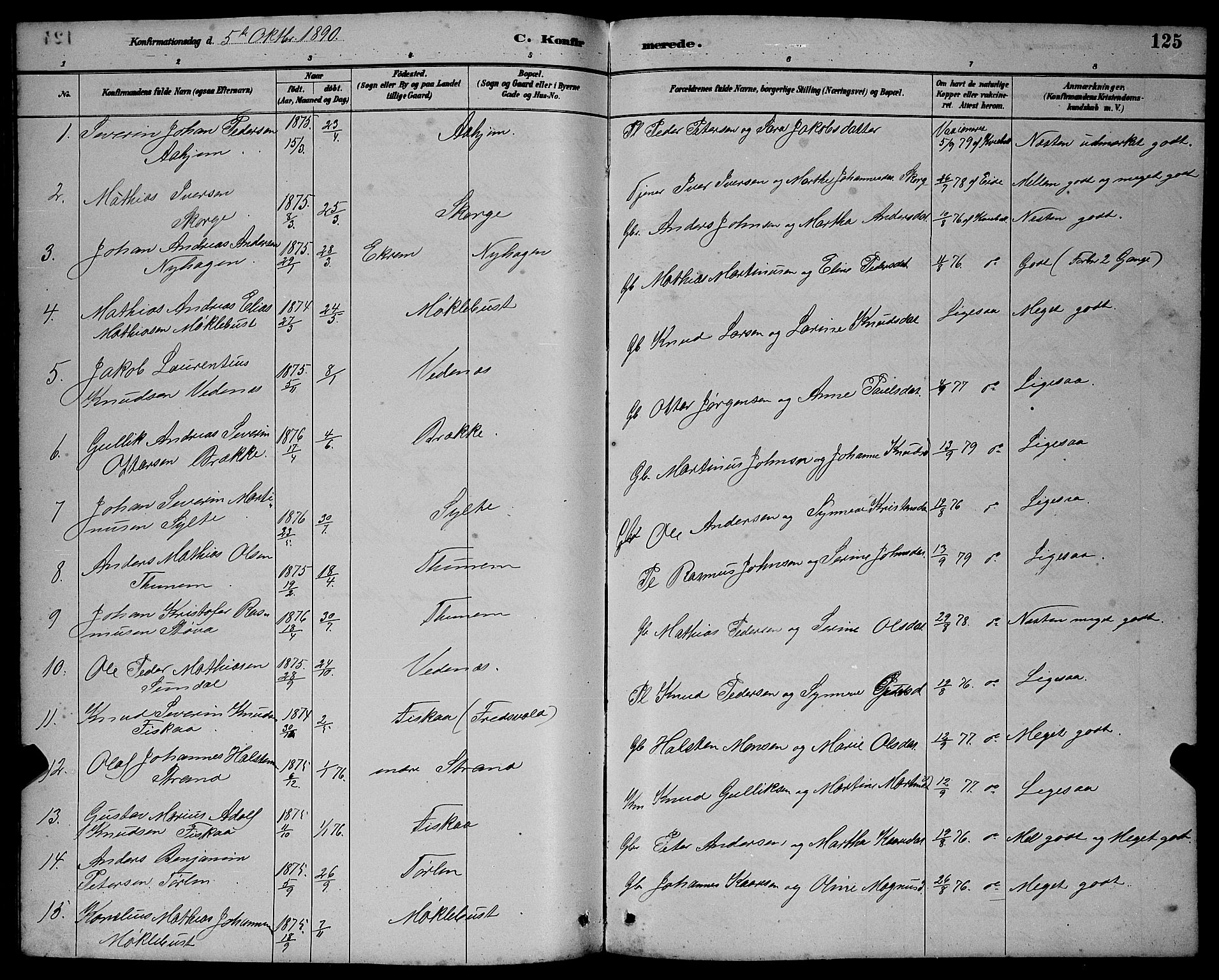 Ministerialprotokoller, klokkerbøker og fødselsregistre - Møre og Romsdal, AV/SAT-A-1454/501/L0017: Parish register (copy) no. 501C03, 1885-1901, p. 125