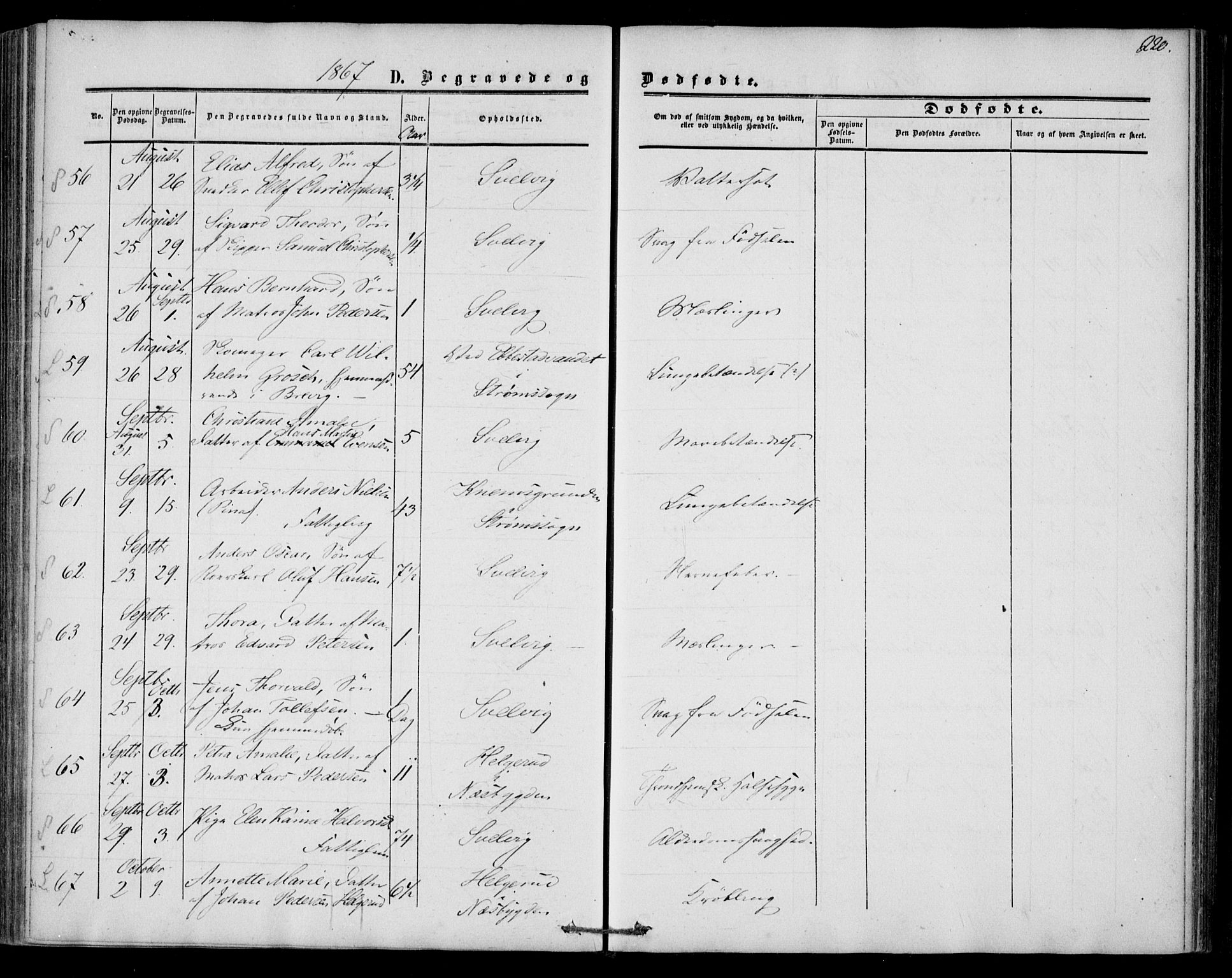 Strømm kirkebøker, SAKO/A-322/F/Fa/L0001: Parish register (official) no. I 1, 1861-1869, p. 220