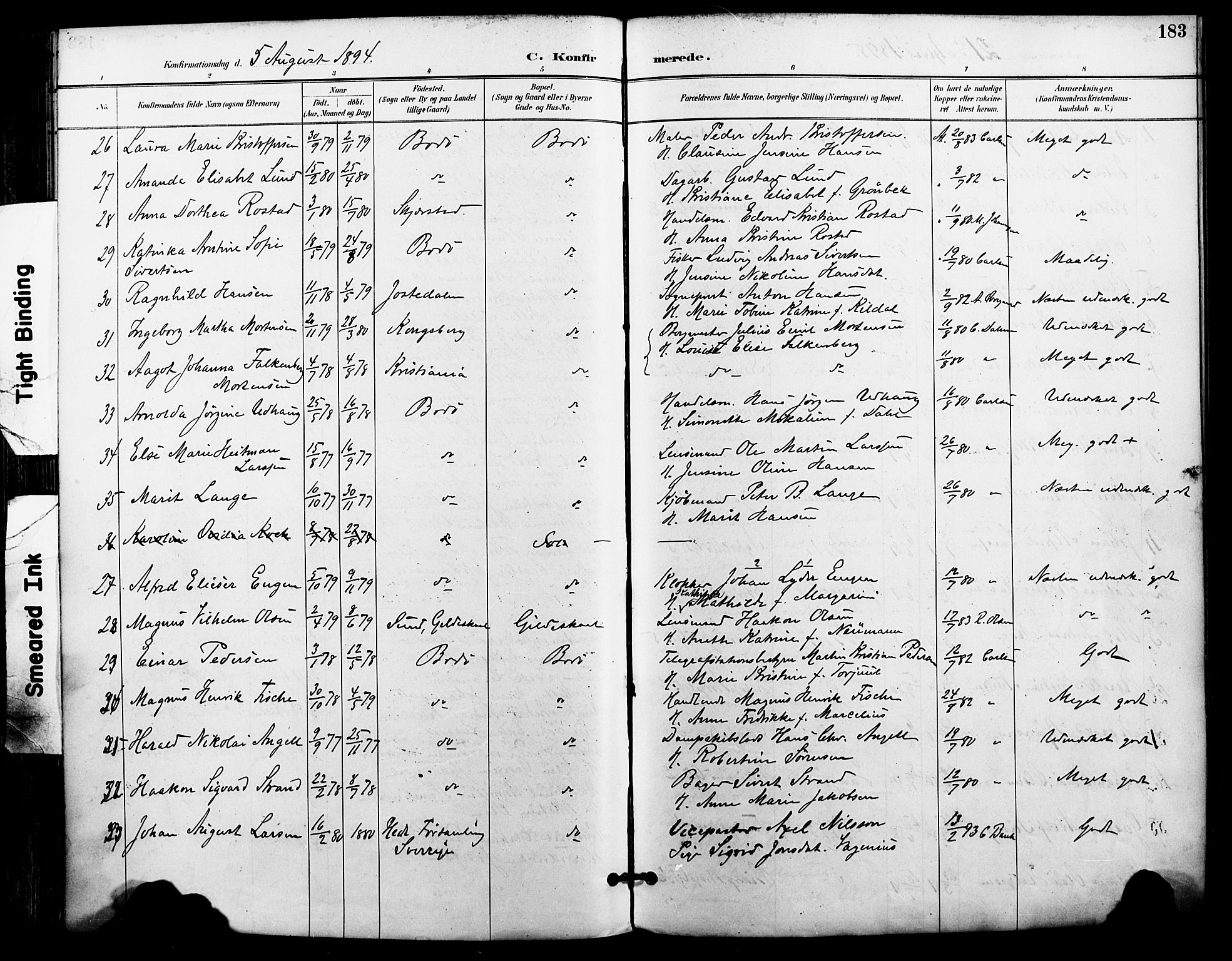 Ministerialprotokoller, klokkerbøker og fødselsregistre - Nordland, AV/SAT-A-1459/801/L0010: Parish register (official) no. 801A10, 1888-1899, p. 183