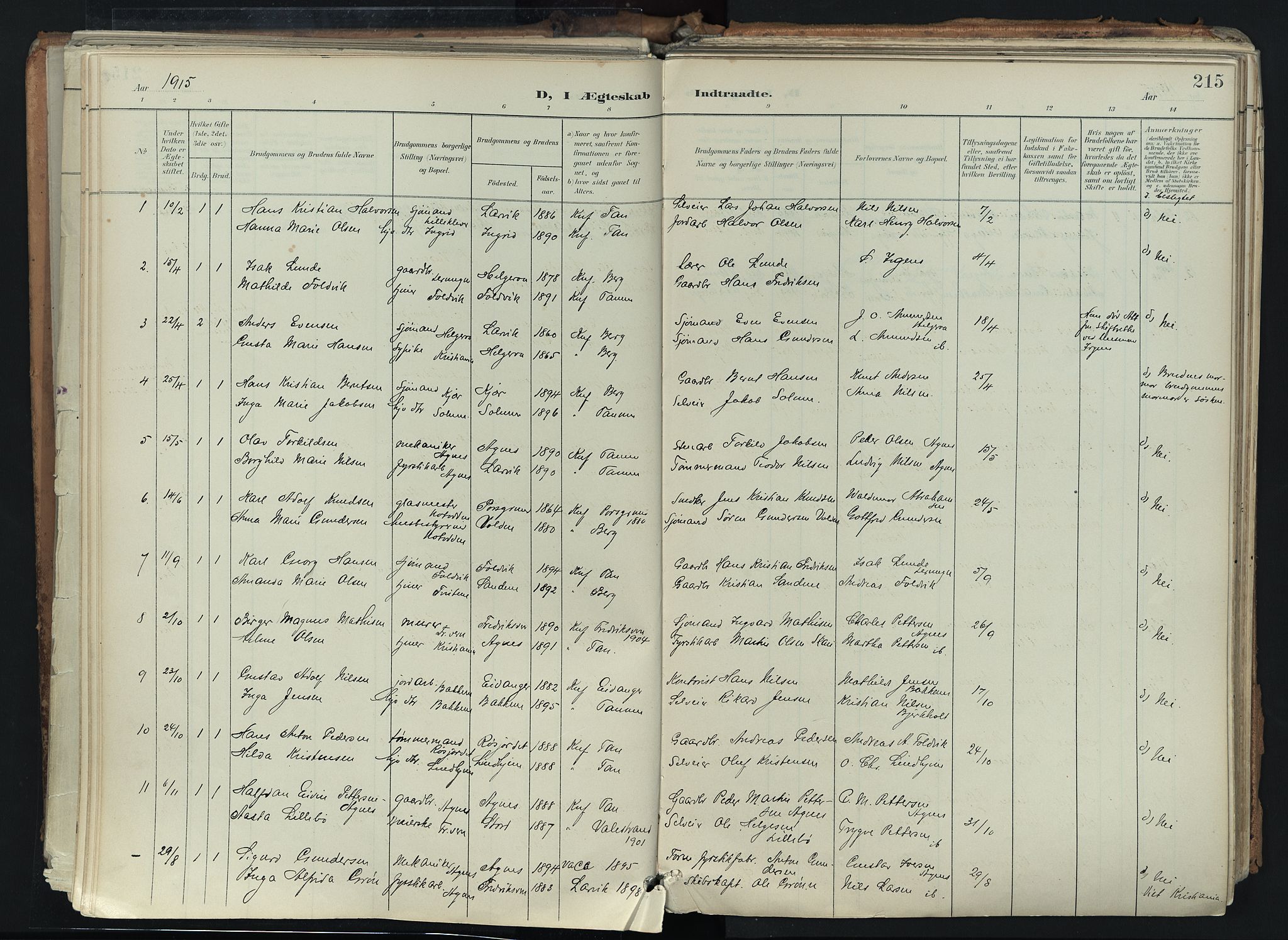 Brunlanes kirkebøker, AV/SAKO-A-342/F/Fc/L0003: Parish register (official) no. III 3, 1900-1922, p. 215