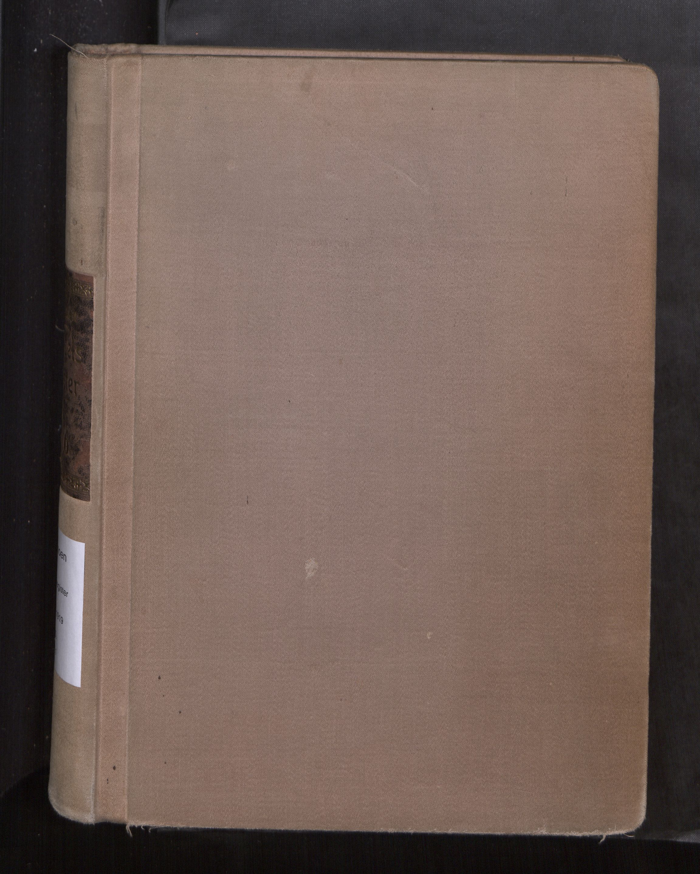 Ministerialprotokoller, klokkerbøker og fødselsregistre - Sør-Trøndelag, SAT/A-1456/605/L0265: Birth register no. 605---, 1916-1919