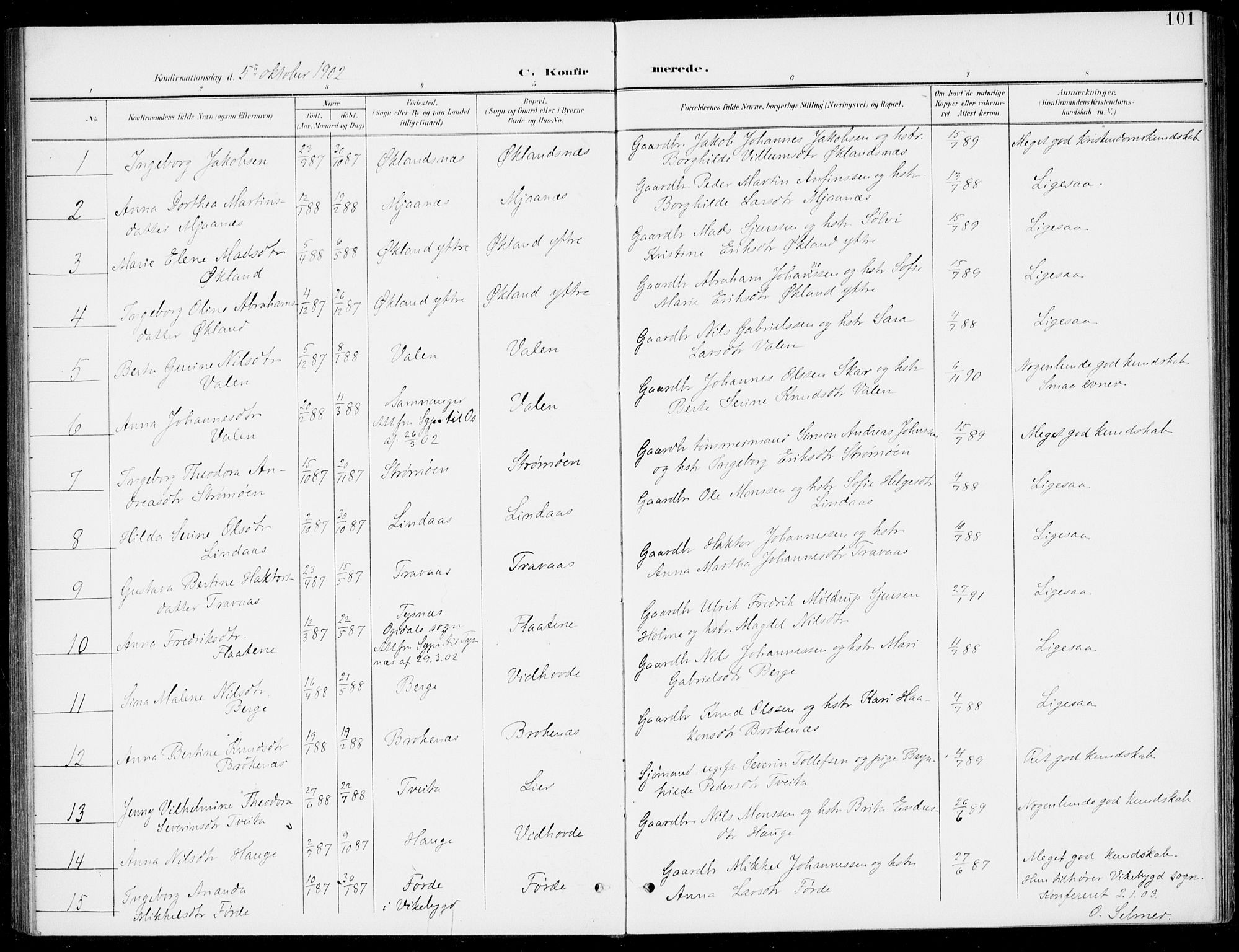 Sveio Sokneprestembete, AV/SAB-A-78501/H/Haa: Parish register (official) no. C 3, 1899-1916, p. 101