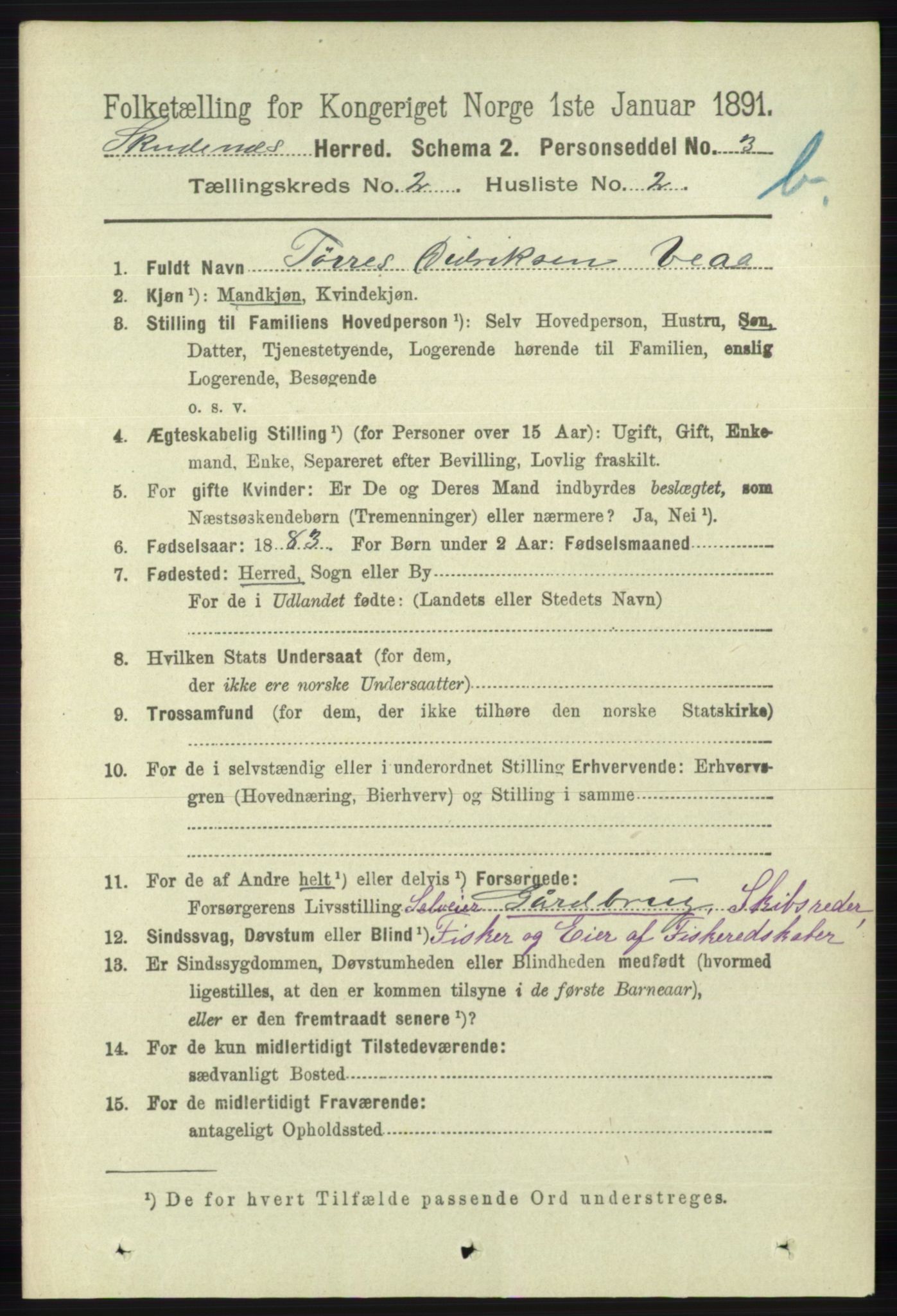 RA, 1891 census for 1150 Skudenes, 1891, p. 3716