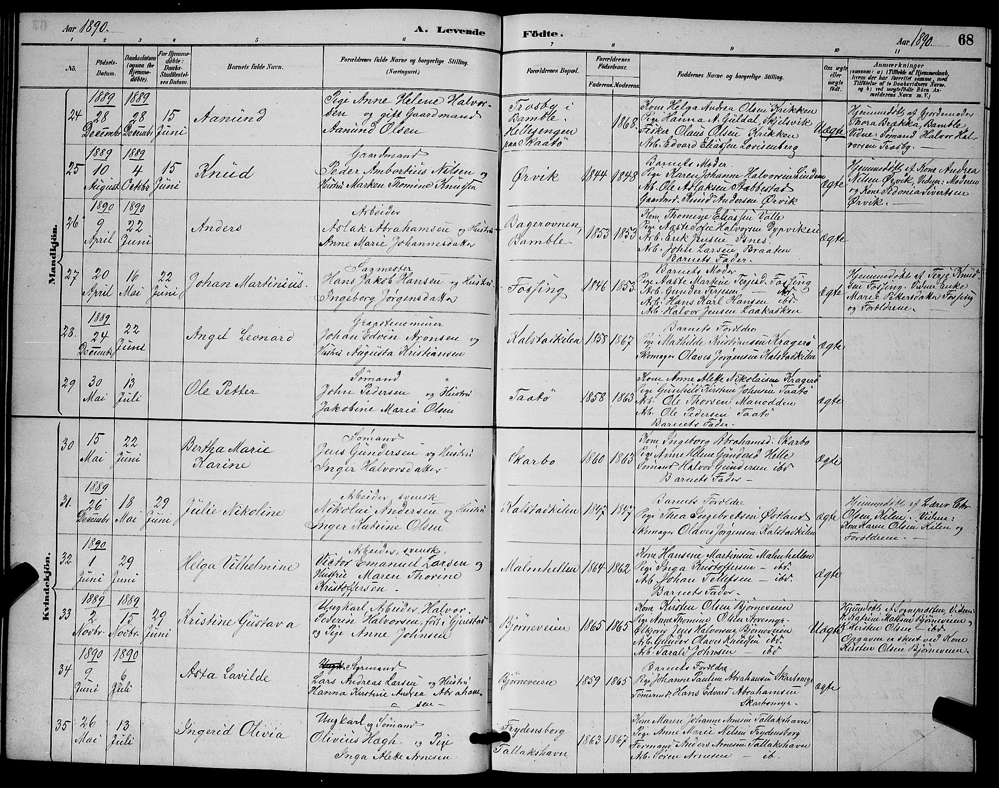 Skåtøy kirkebøker, AV/SAKO-A-304/G/Ga/L0003: Parish register (copy) no. I 3, 1884-1898, p. 68