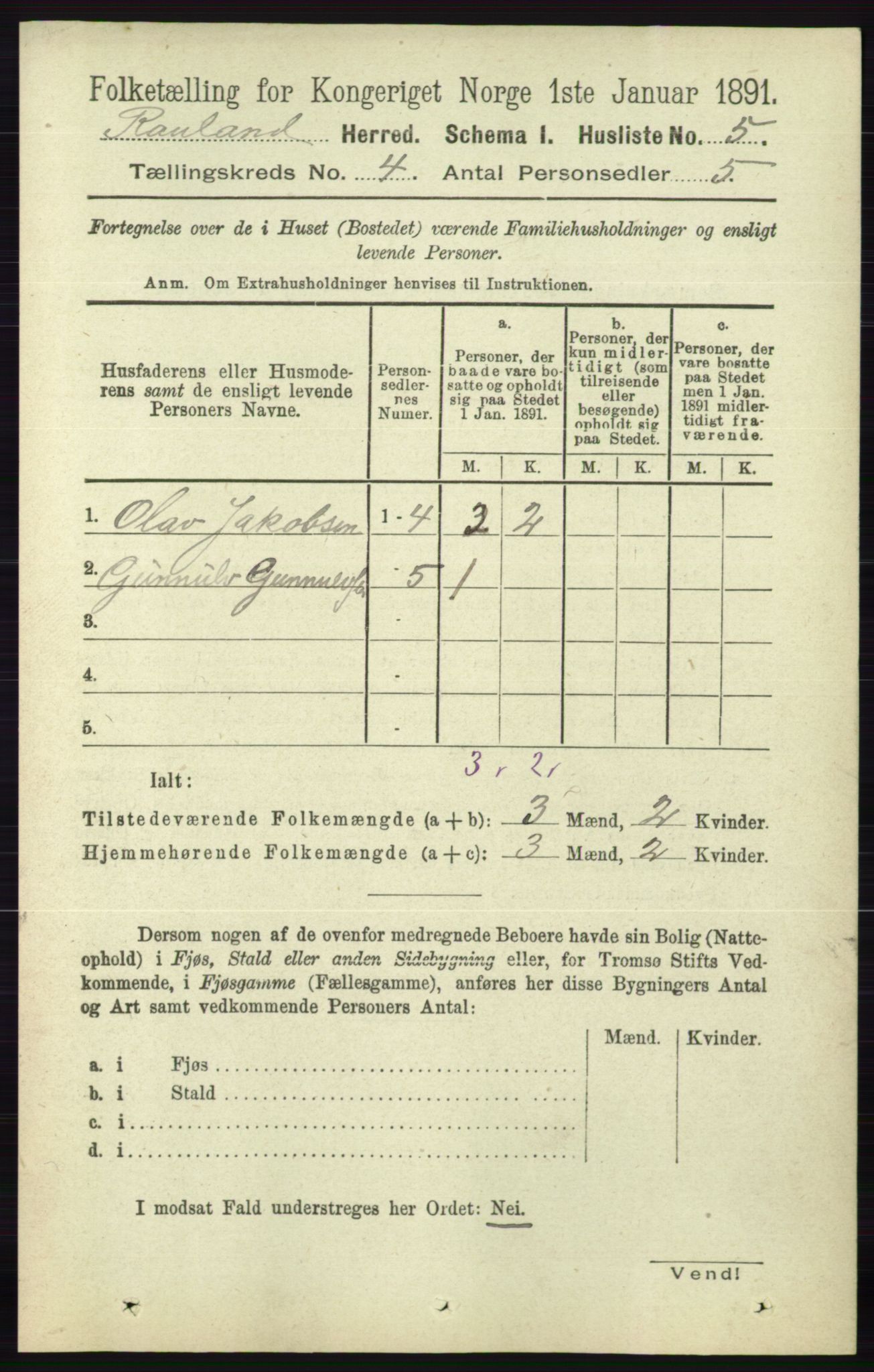 RA, 1891 census for 0835 Rauland, 1891, p. 991