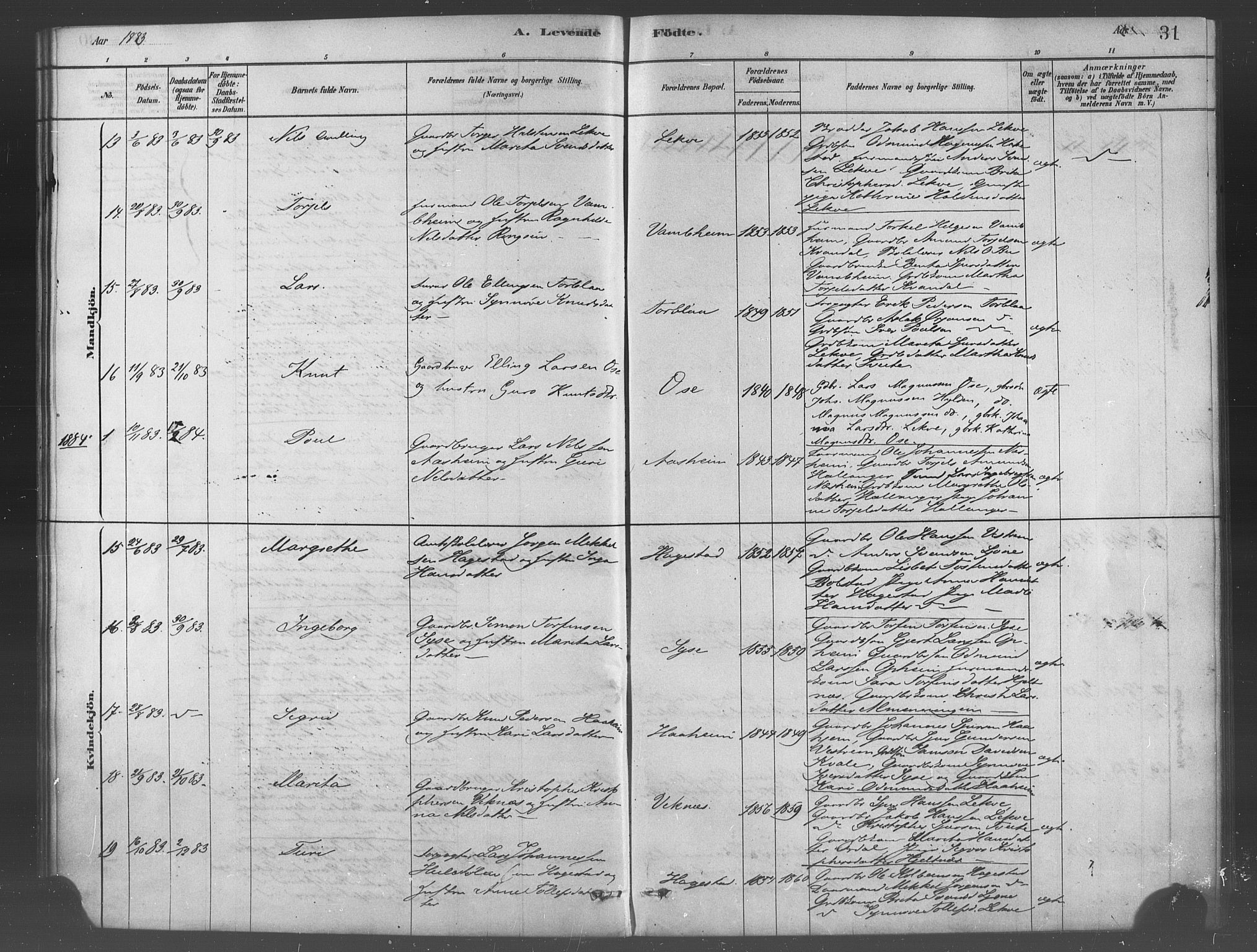 Ulvik sokneprestembete, AV/SAB-A-78801/H/Haa: Parish register (official) no. B 1, 1878-1897, p. 31