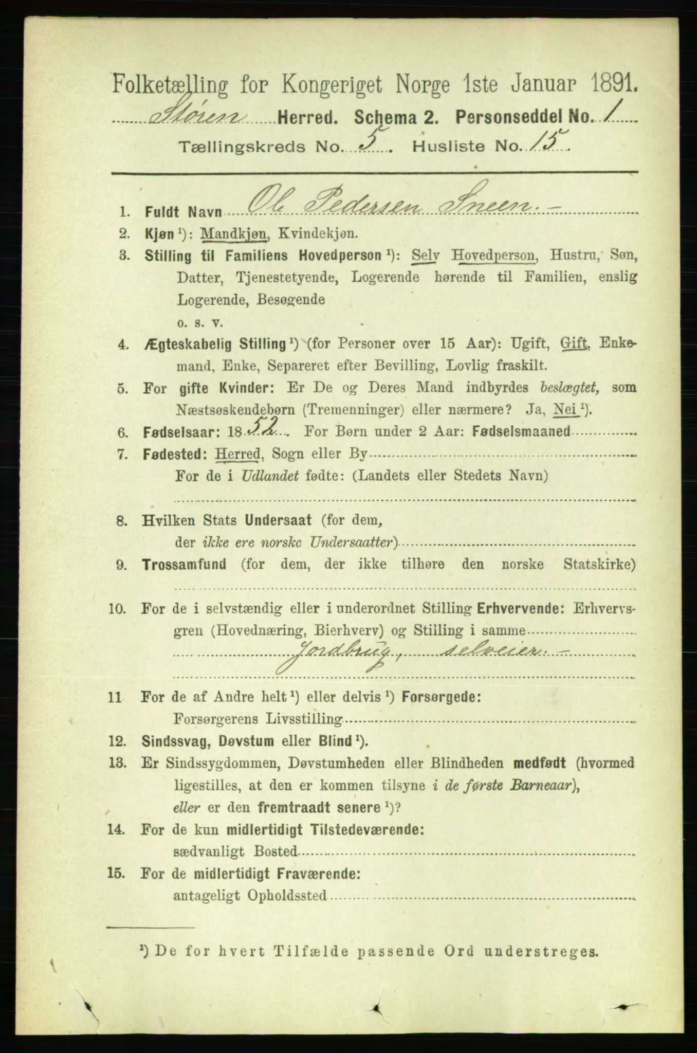 RA, 1891 census for 1648 Støren, 1891, p. 2020